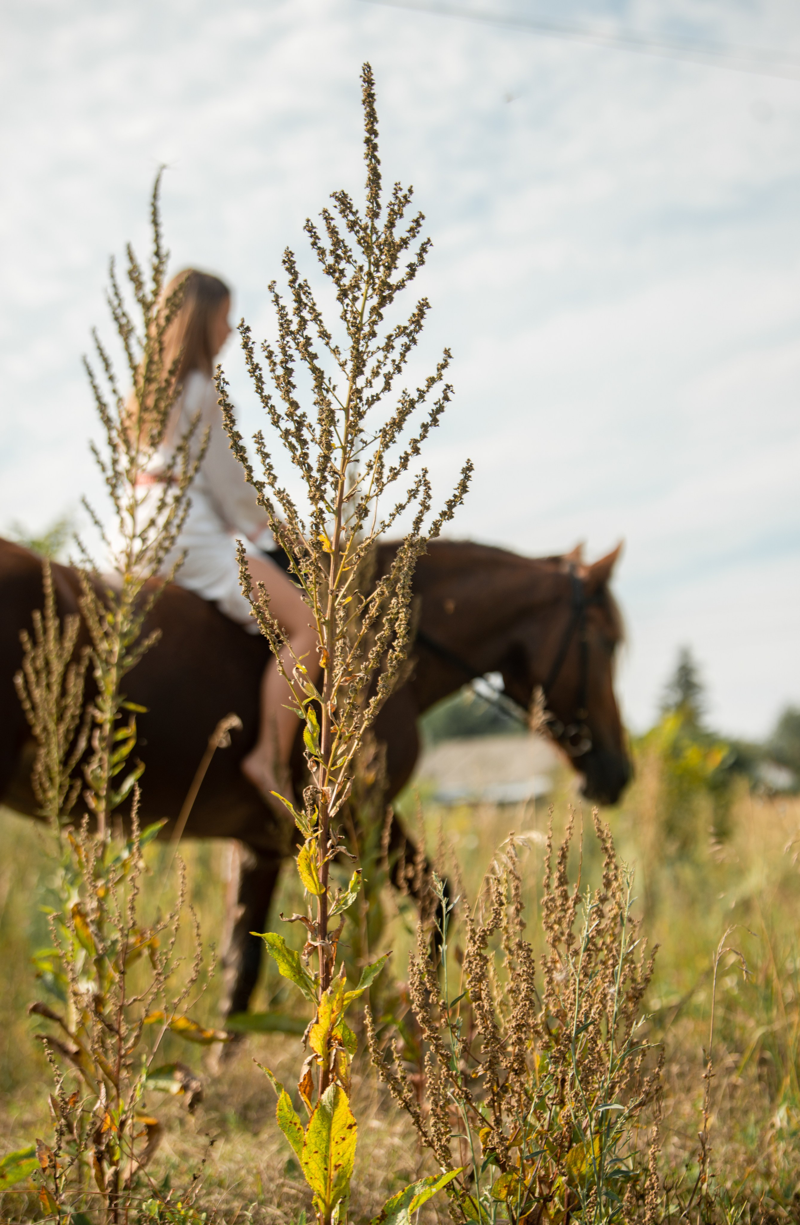 Вероника и Марта. Конный фотограф в Саратове Юлия Иванова