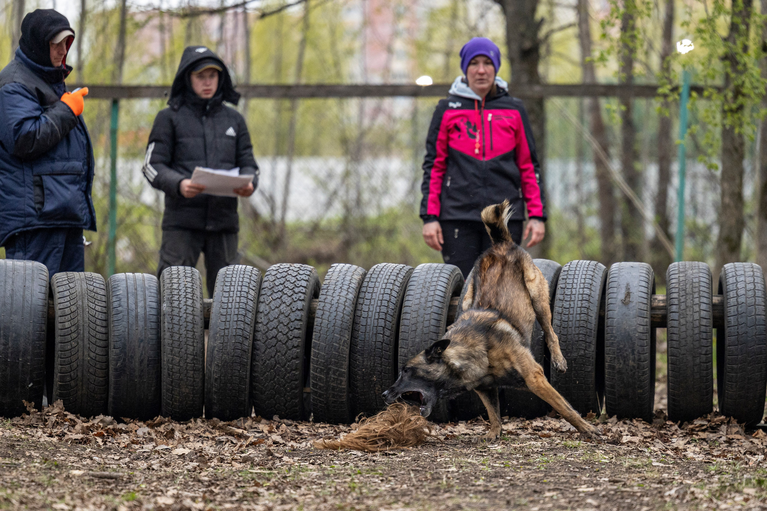 Квалификационные состязания по мондьорингу г. Вологда 11.05.24. Фотограф-анималист Анна Маринич
