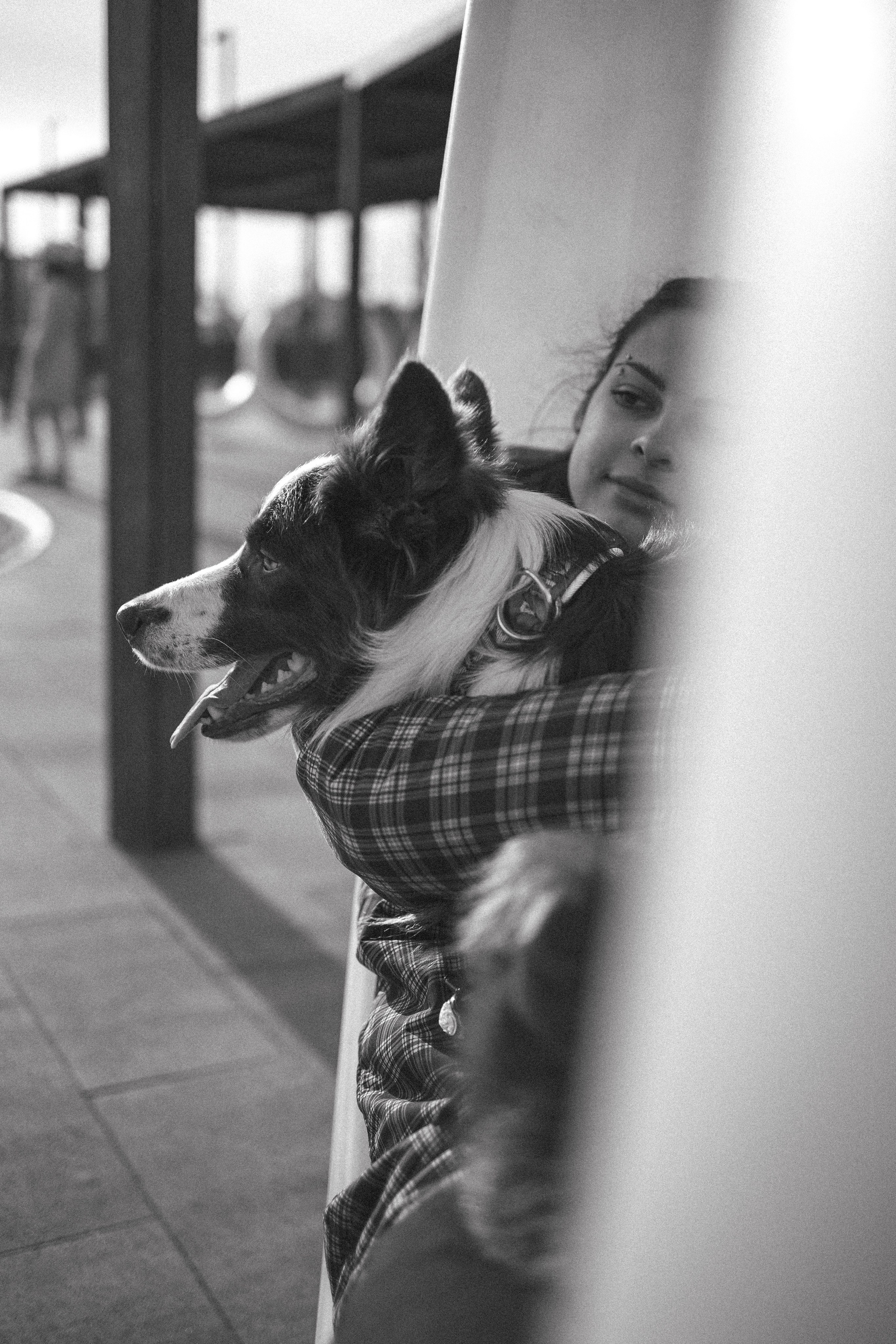 Маша и Тори. Фотограф — анималист Светлана Кысса|фотограф собак в Краснодаре и Нижнем Новгороде