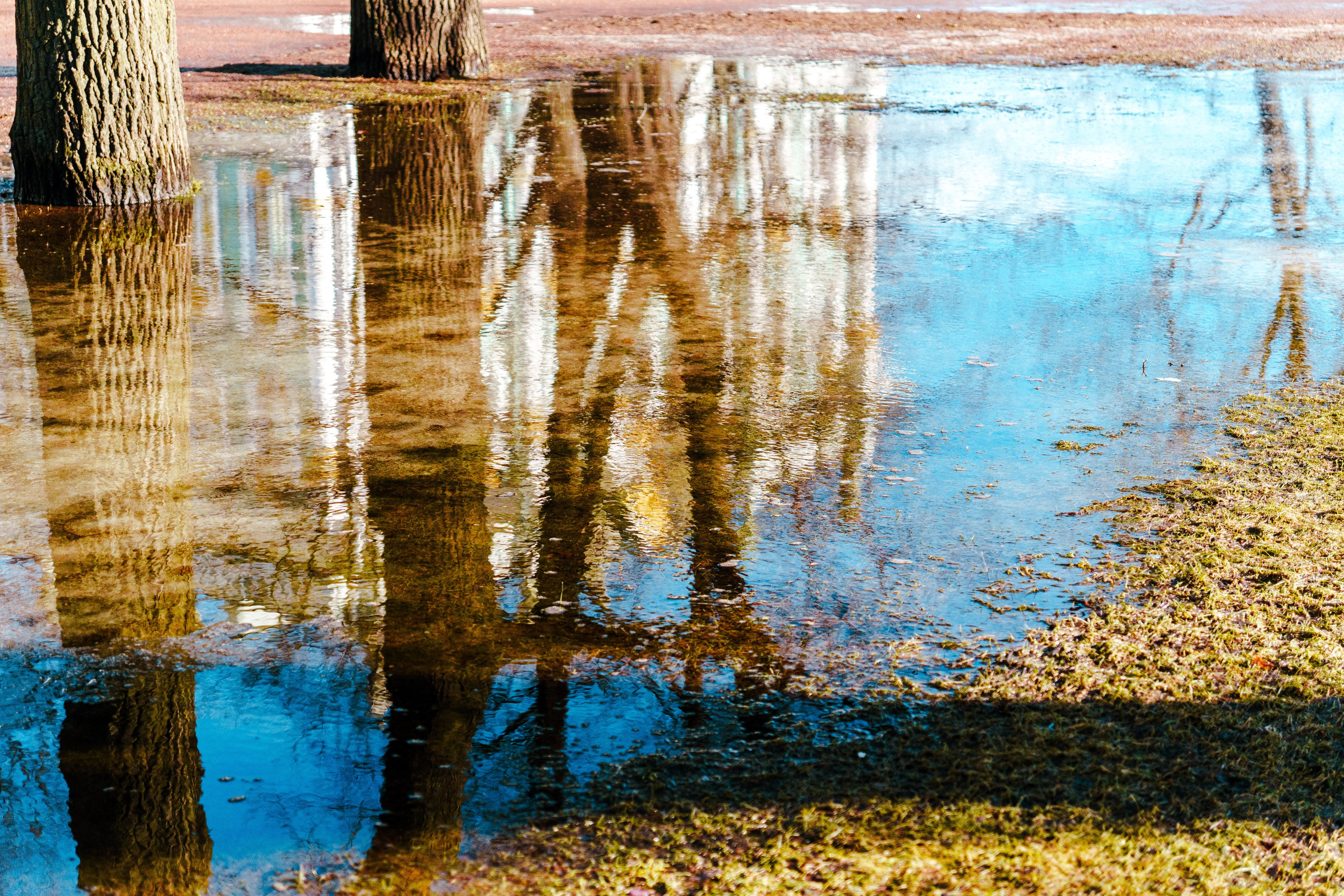 Санкт-Петербург. Фотограф в Санкт-Петербурге Ибрагимова Алина
