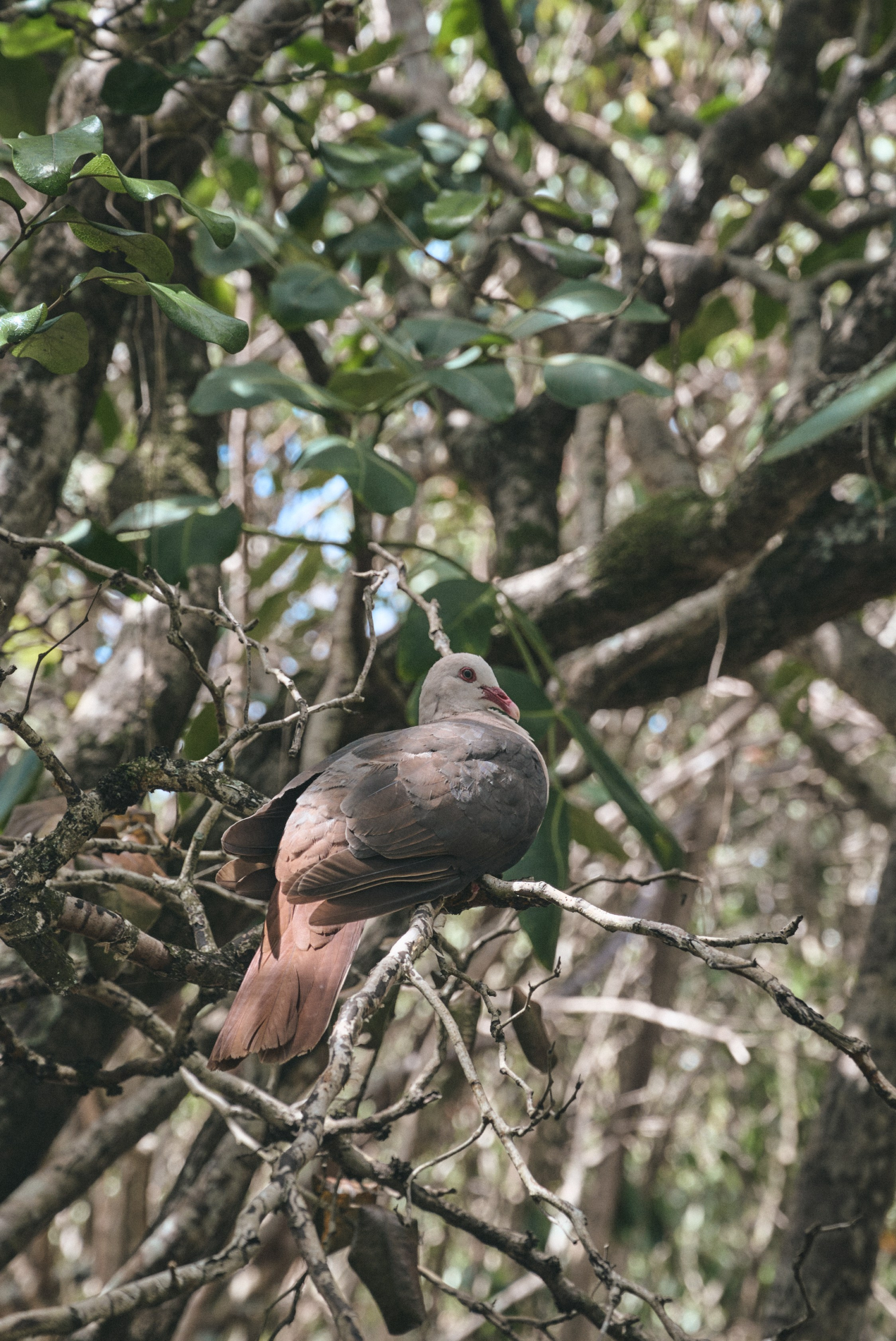 U Magazine x Выездная редакция. Фотограф Сурков Никита