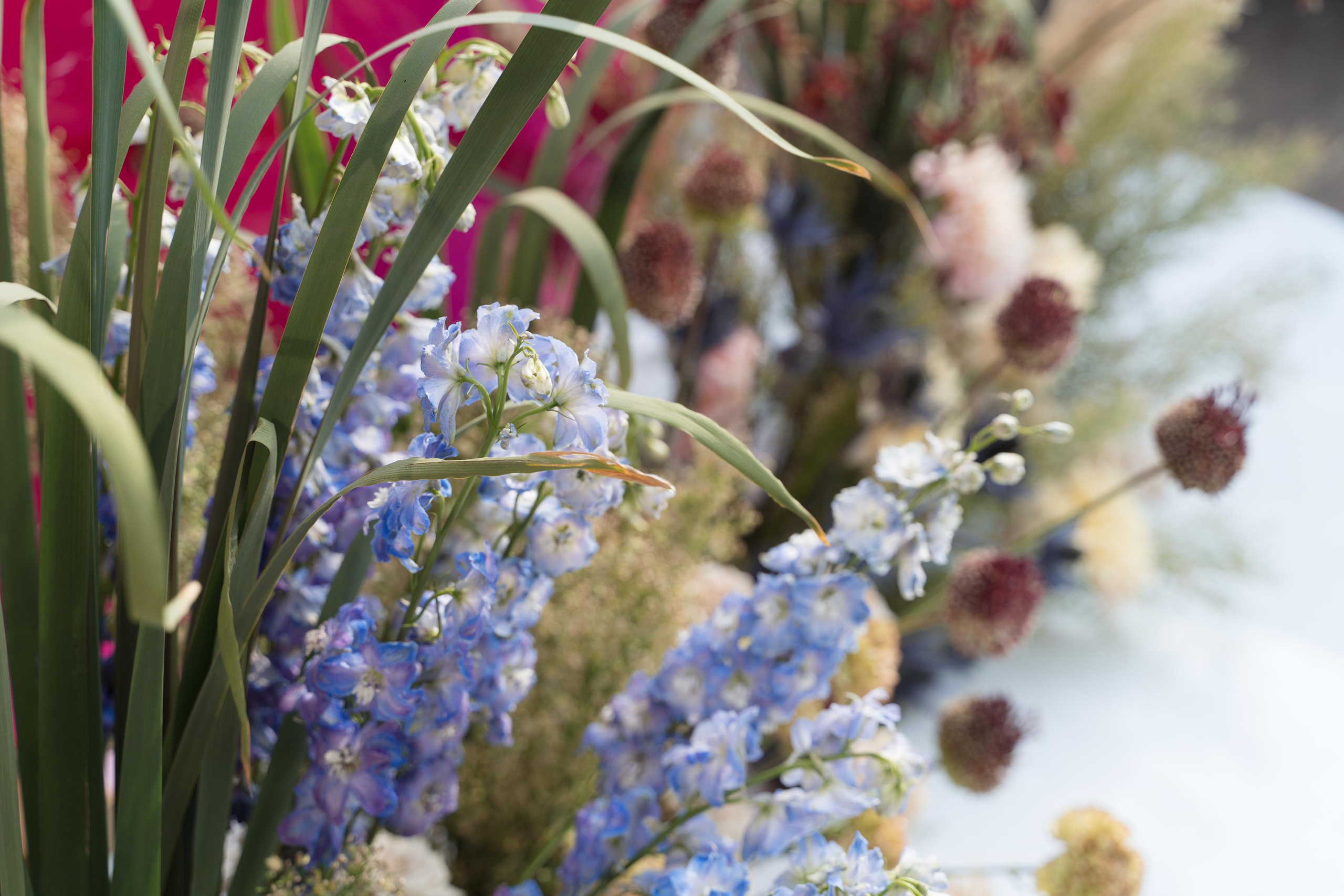 Александр и Анна. Любимый цвет. VENSKAYA WEDDING & EVENT PLANNER