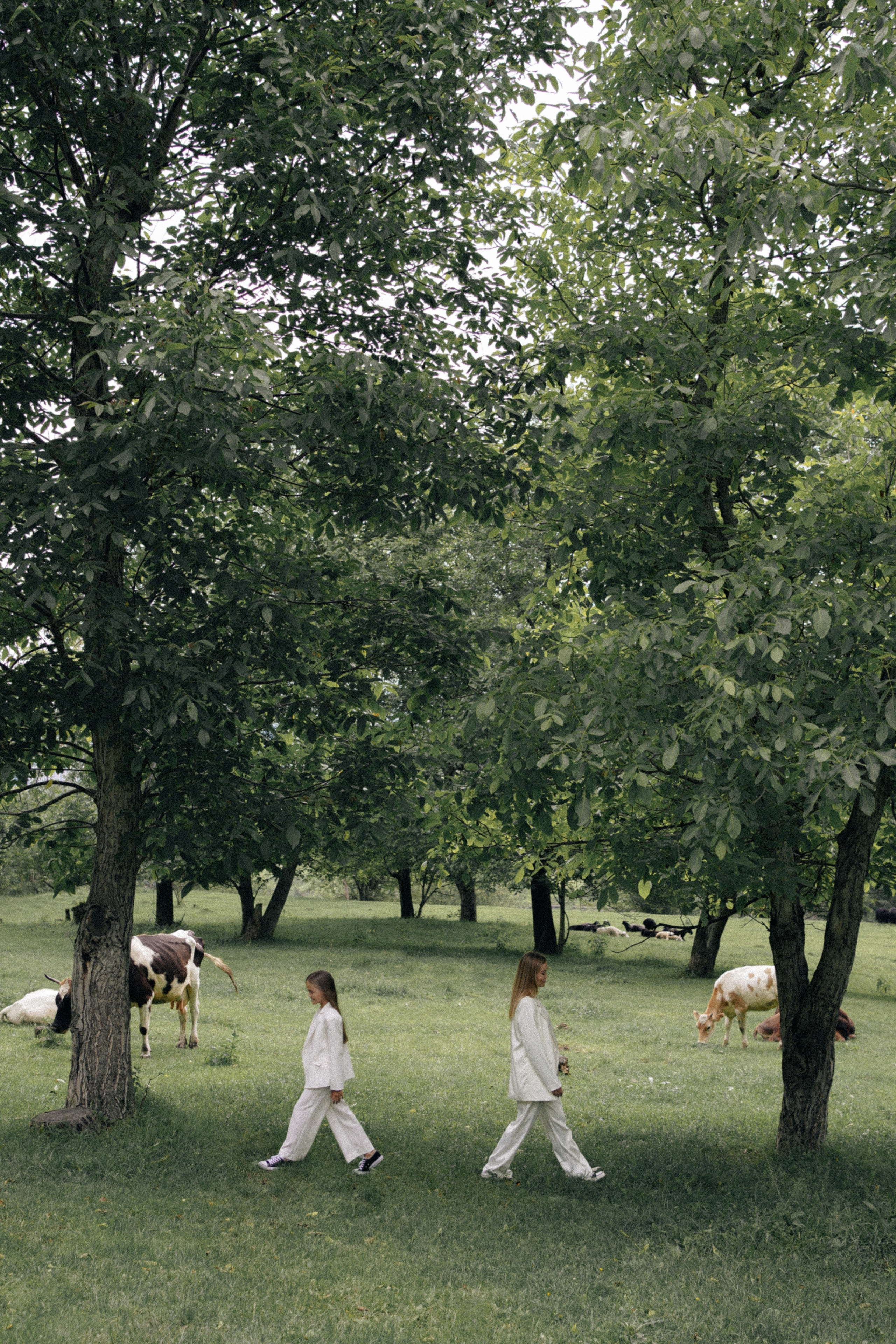 Лето и мама. Свадебный и семейный фотограф Афанасьева Анна в Кисловодске