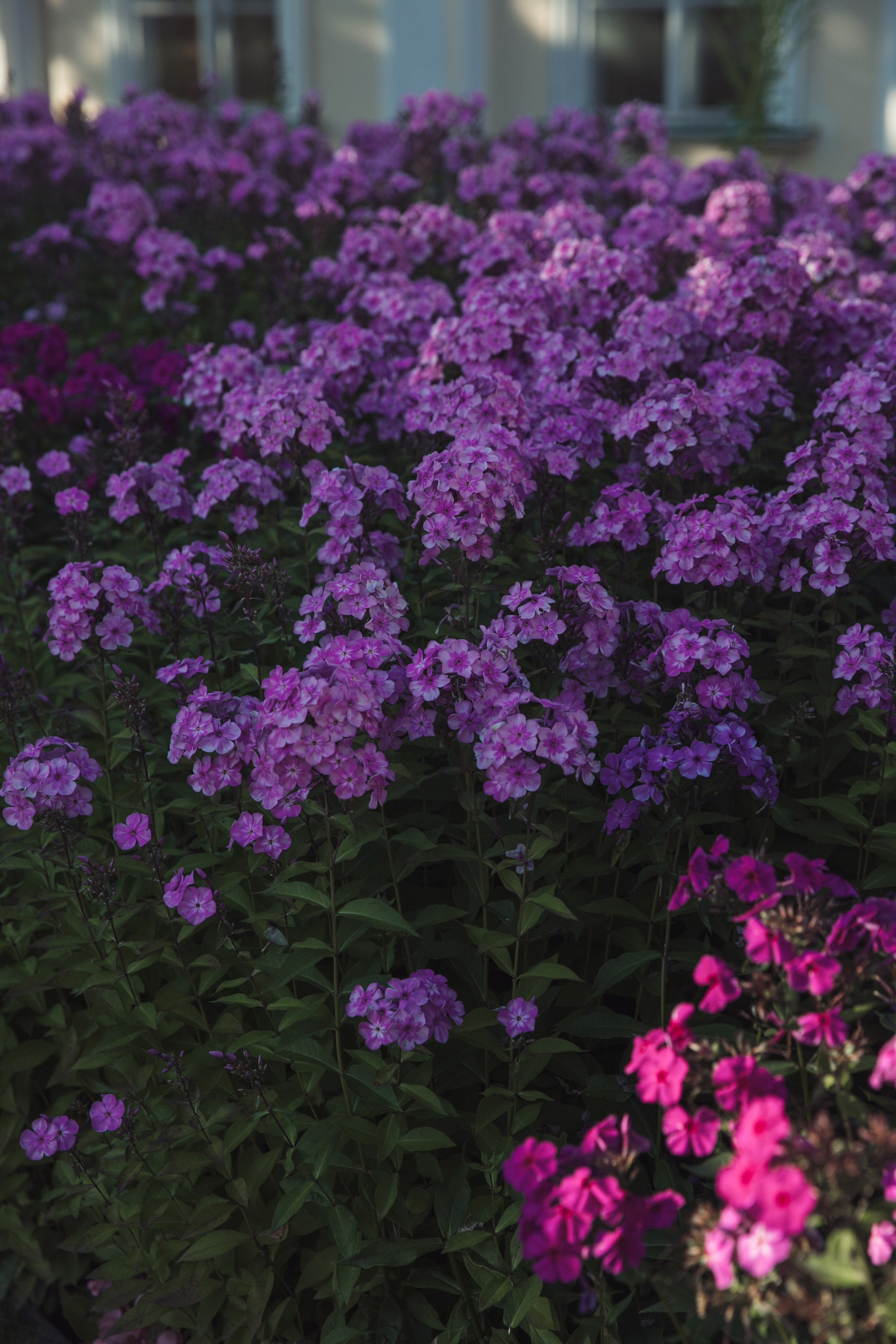 Ораниенбаум. Фотограф и ретушёр Мария Гущина