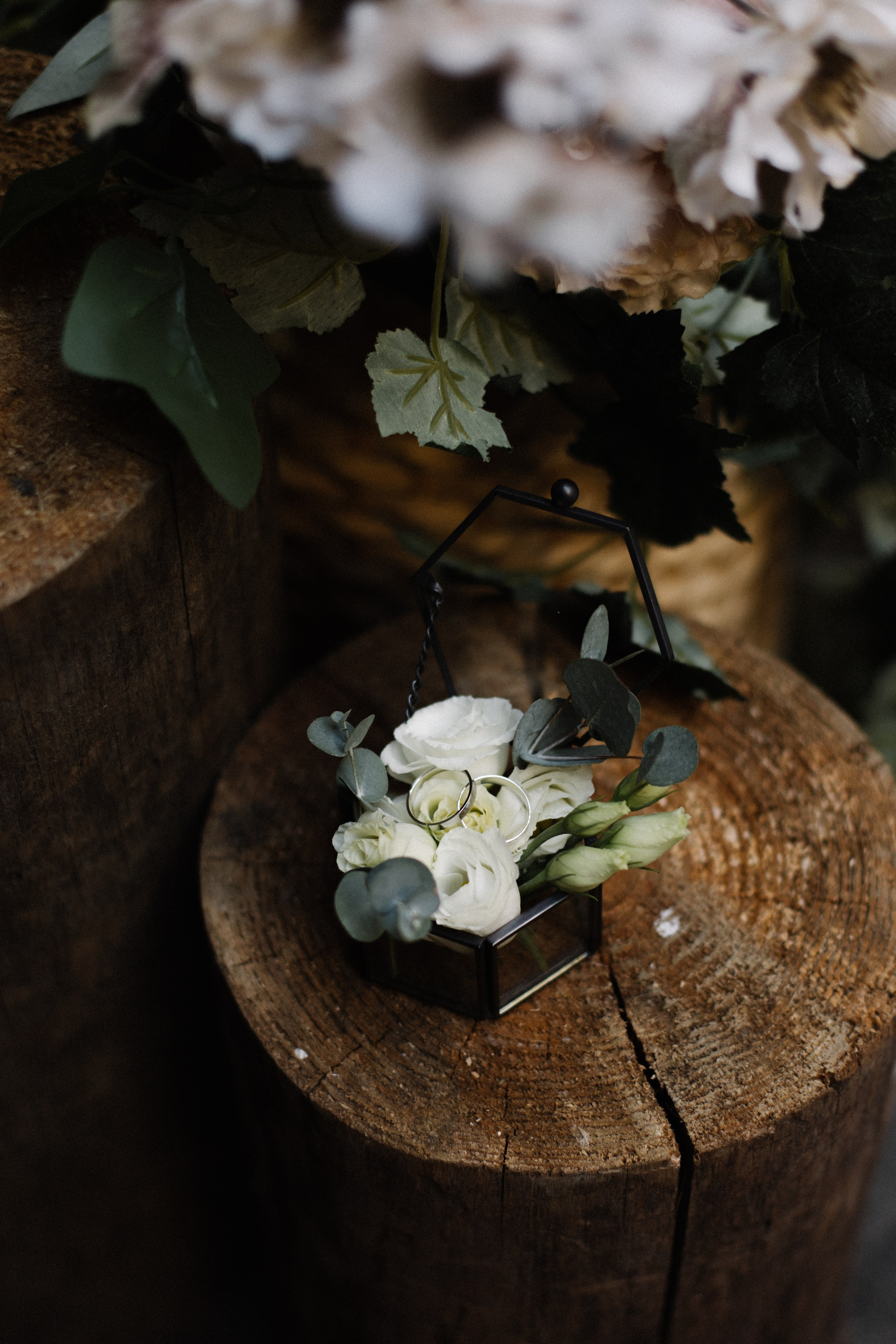 Крылья бабочки. Фотограф Диана Хасанова, г. Казань