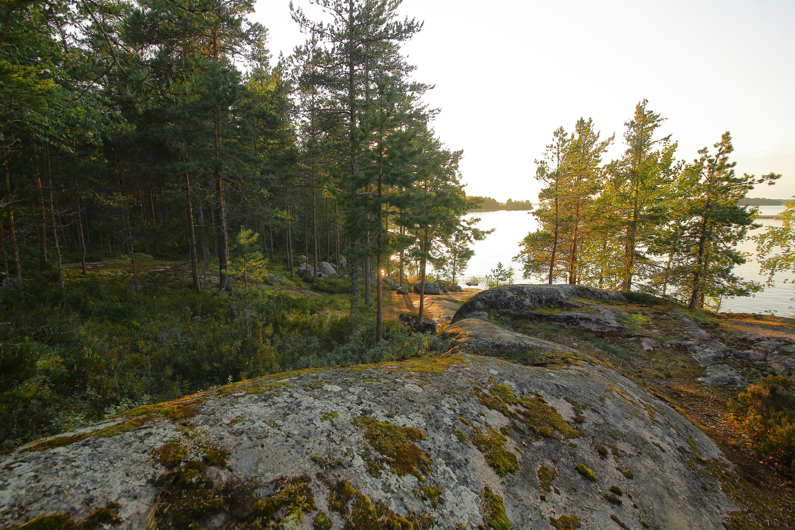 Ленинградская область — Карелия. Свадебный и репортажный фотограф в Ярославле и Санкт-Петербурге Роман Микрюков