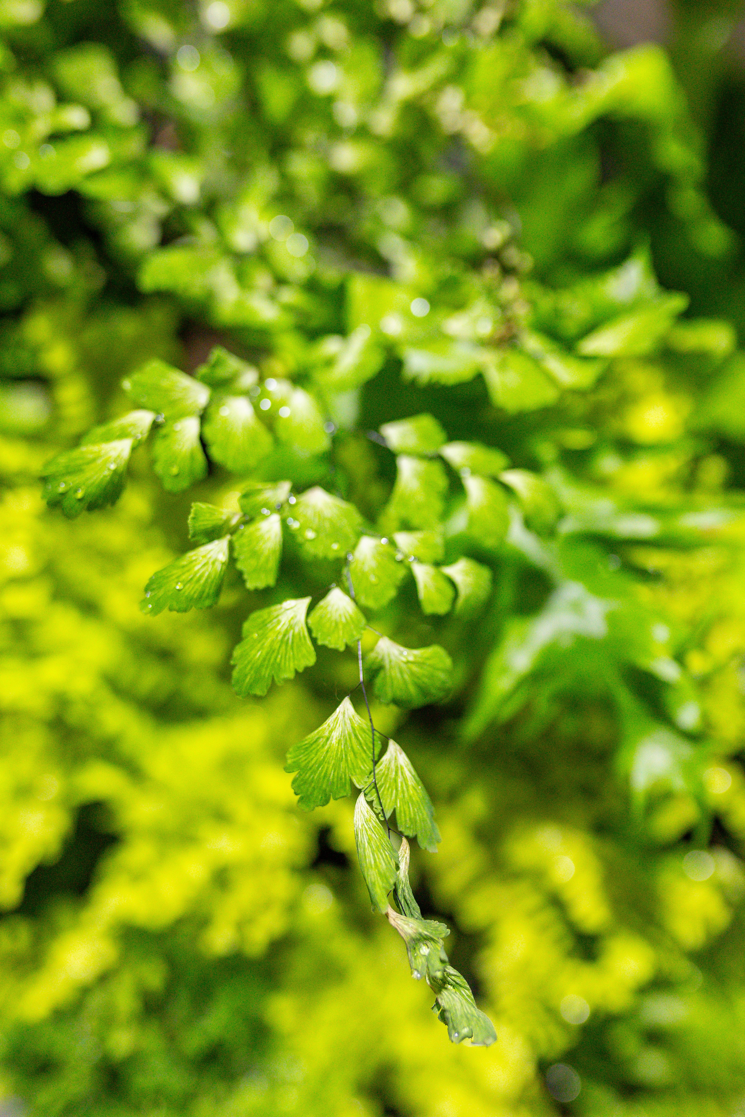 Монстериум 11–12 октября. Александра Куликова фотограф, Москва