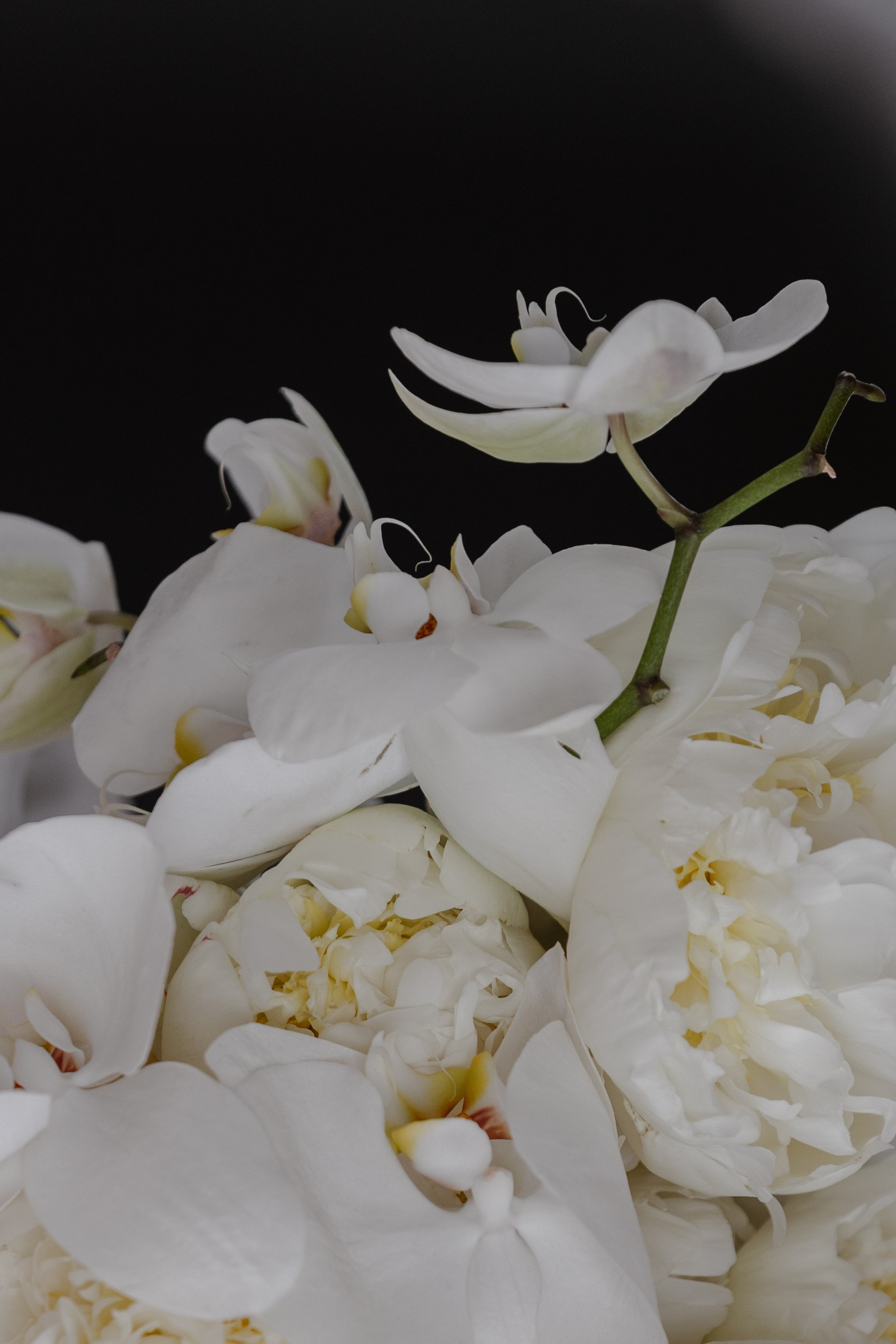 Евгений и Светлана: праздник на воде. @dariazphoto свадебный фотограф