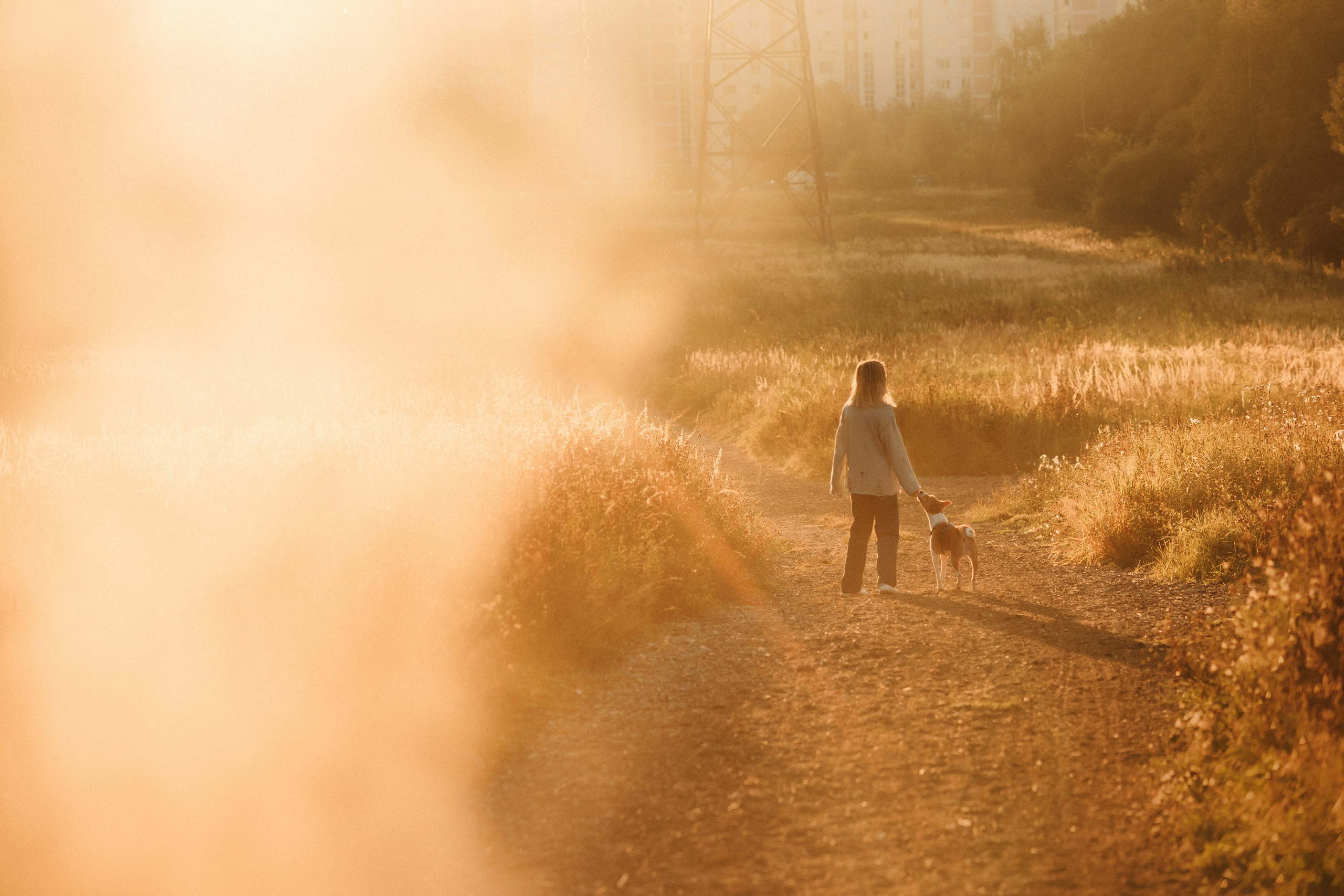 Лена и Джин. Фотограф-анималист Елена Радченко, Москва