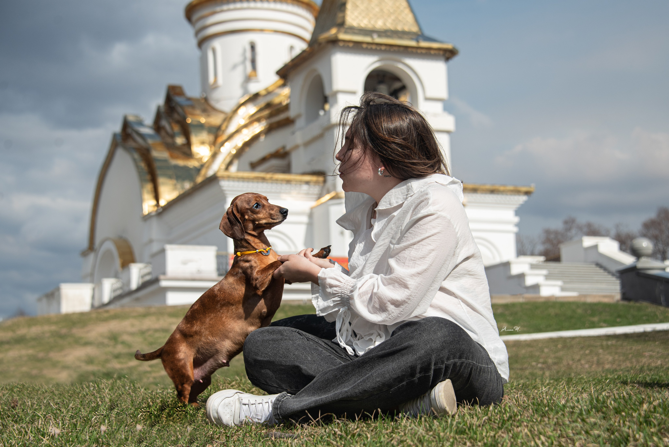 Алина и её «Три мушкетёра» — Хабаровск 2026 год. Фотограф — анималист Алина Чебулаева г. Находка