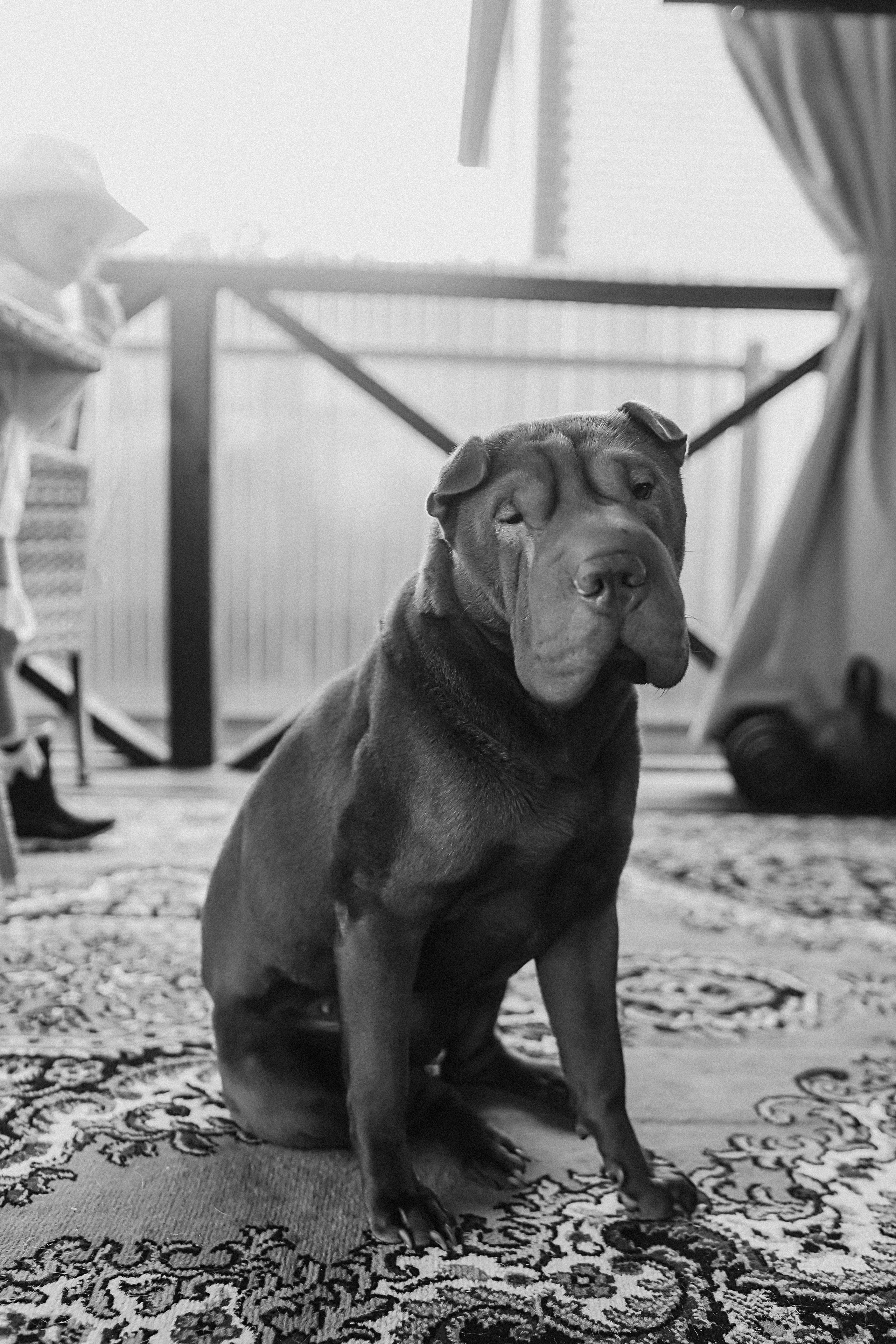 У дома. Семейный фотограф Тюмень, фотограф на роды Салмина Мария