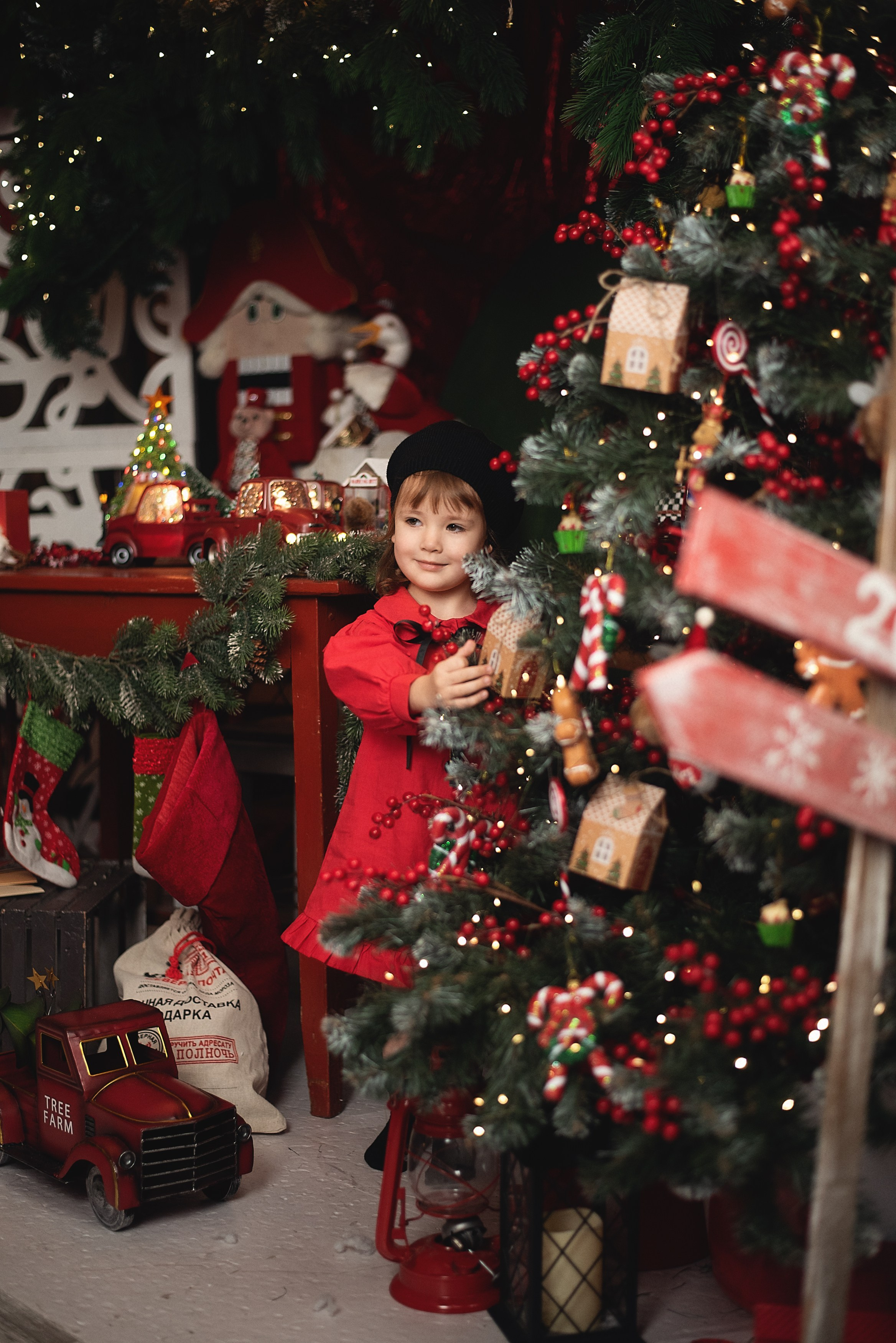 Новогодние фотосессии в Брянске