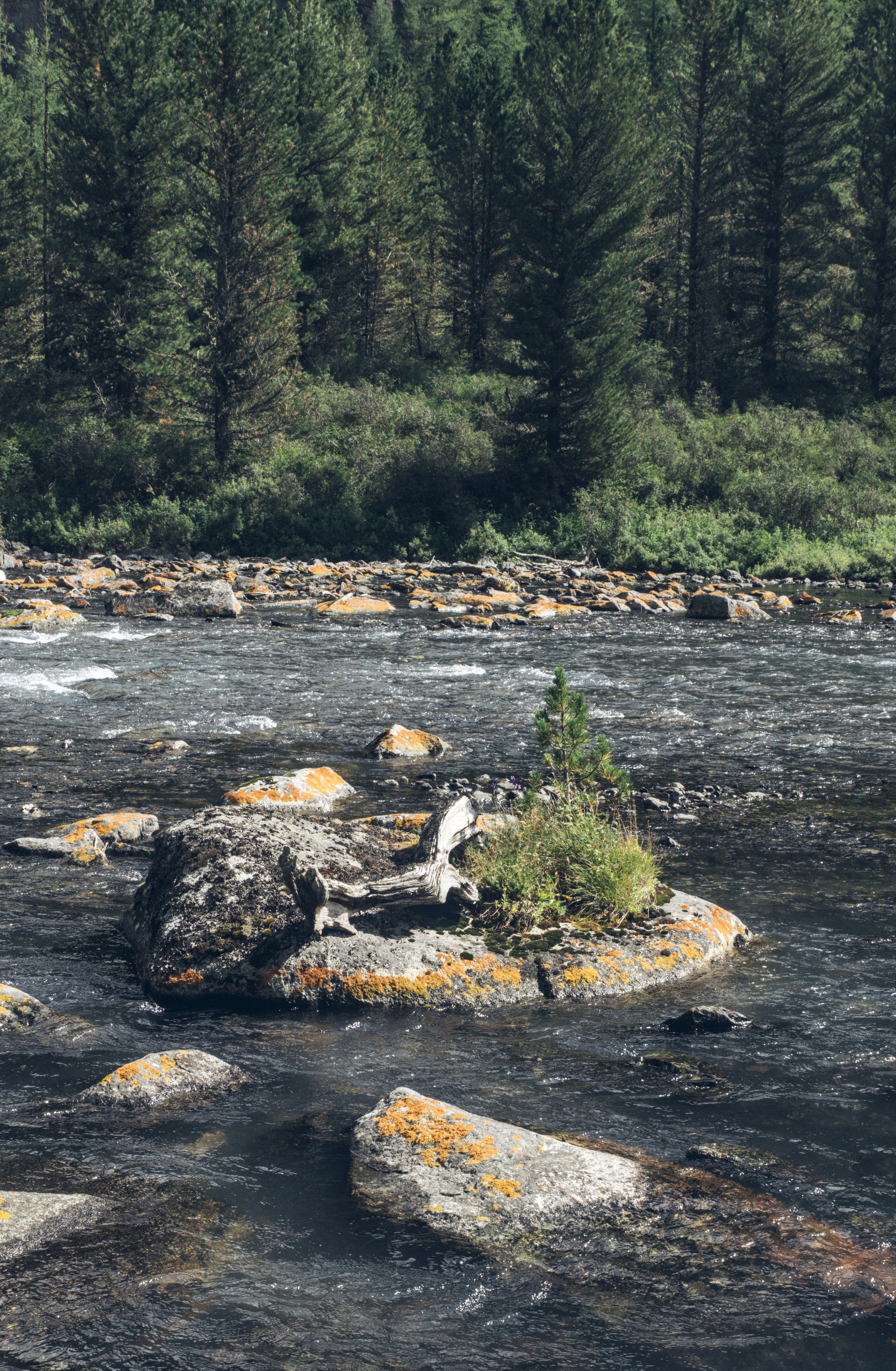 Большой и малый Колагаш. Фотограф анималист, пейзажист, спортивные мероприятия. Новосибирск