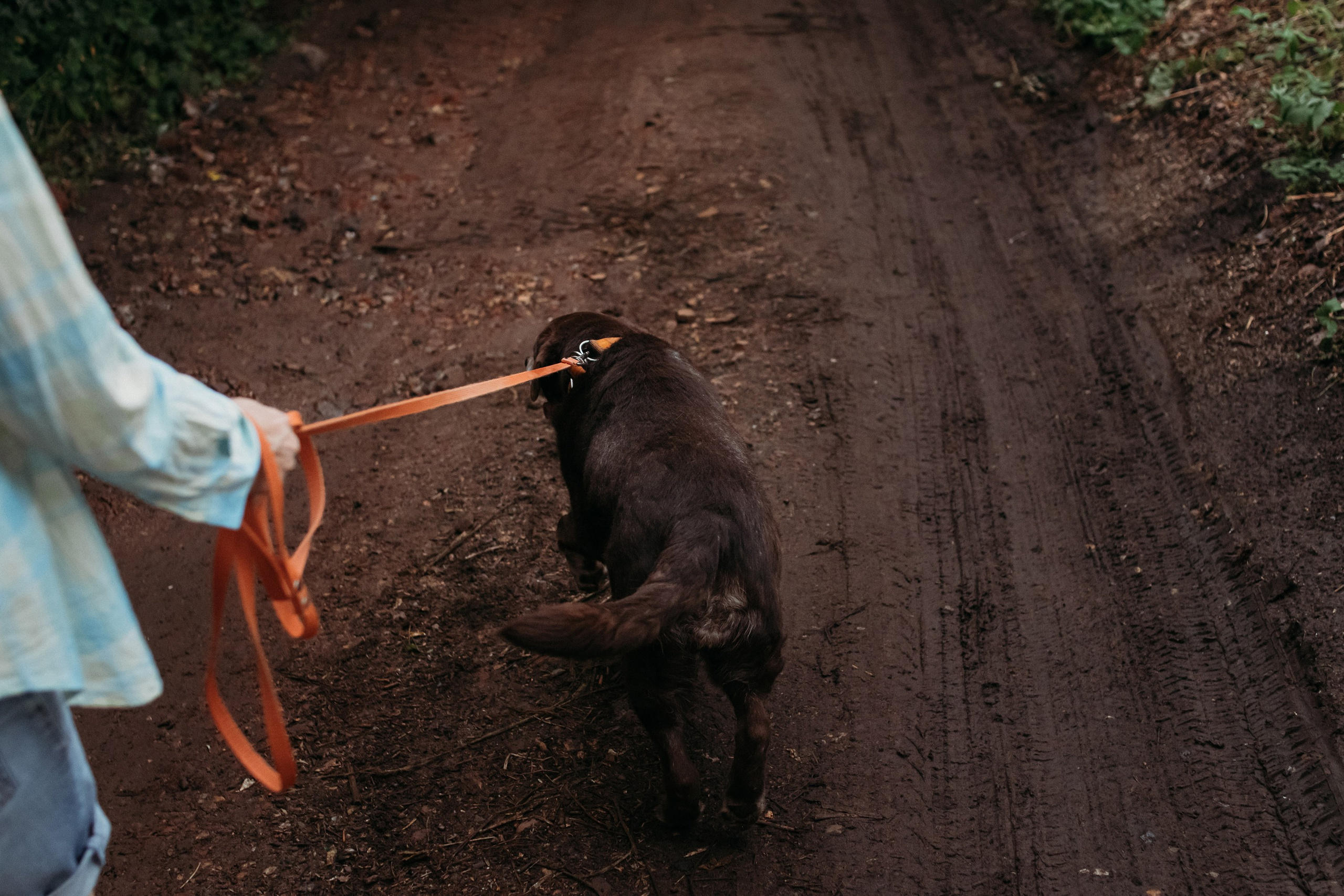Юля и Свити. Фотограф Наталья Потапова