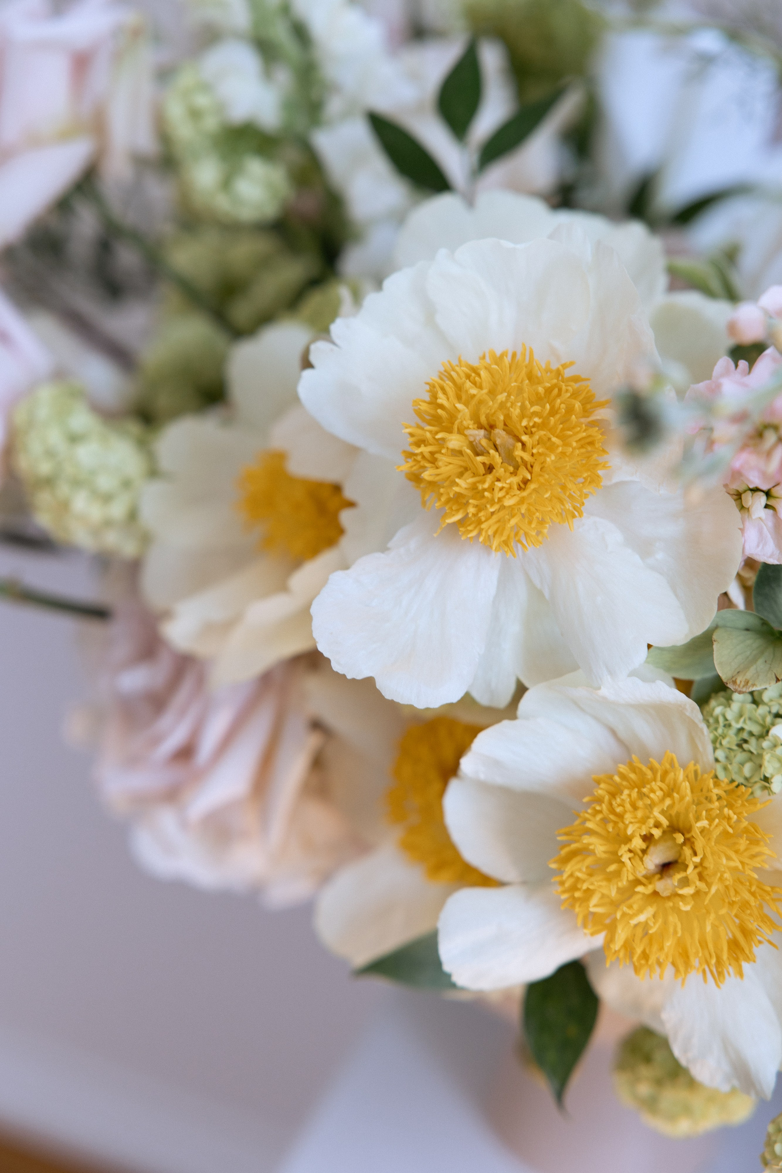 Germany, Schloss Hamerstein. Hochzeitsfotografin Galina Bikowez