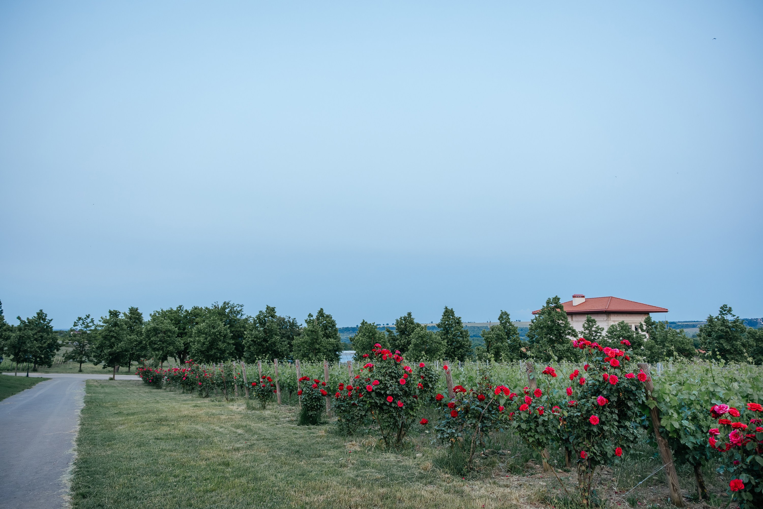 Pastoral. Репортажный и свадебный фотограф в Краснодаре Владислав Рыжов
