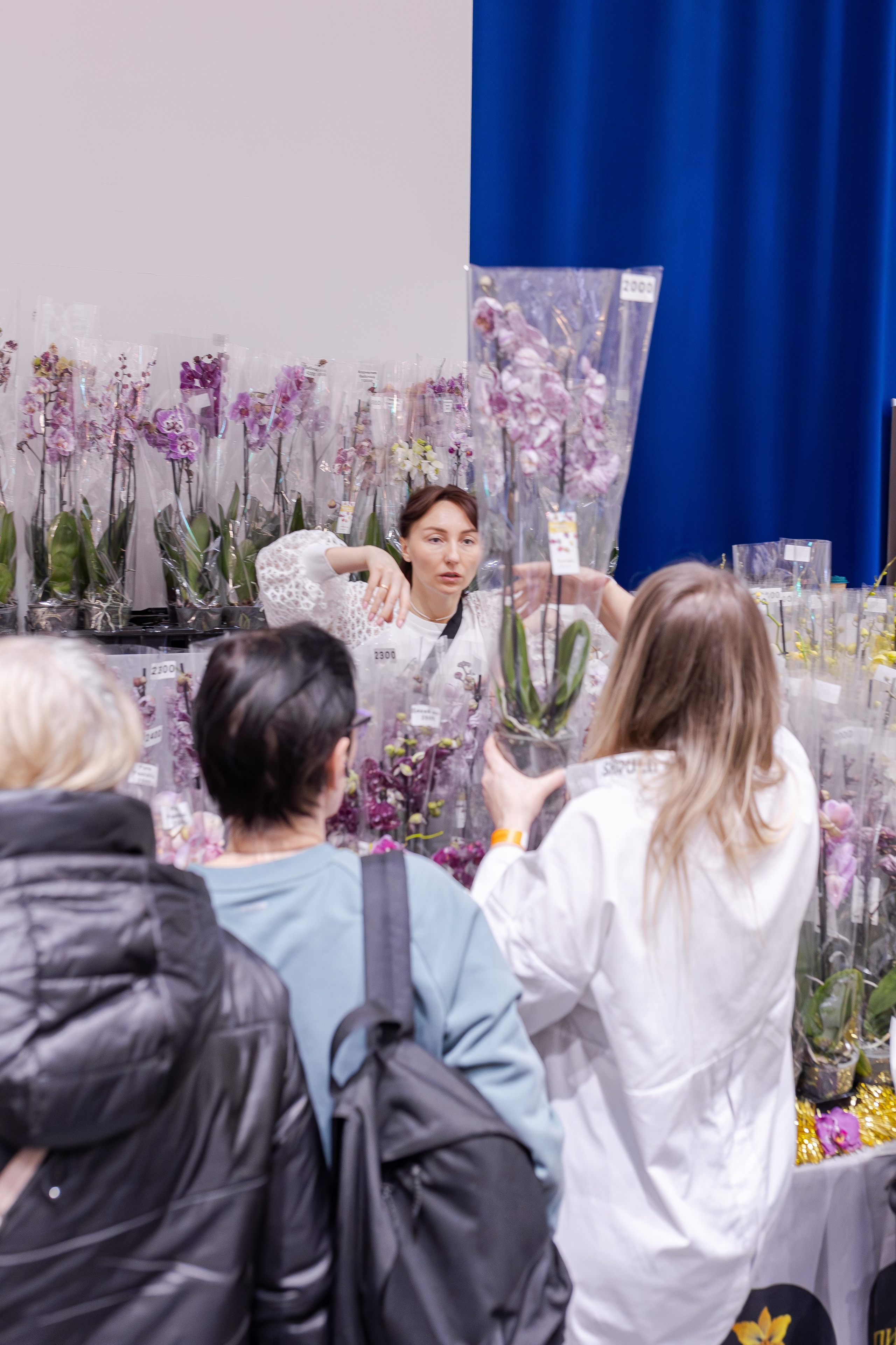 Орхидиум 12.2025. Александра Куликова фотограф, Москва