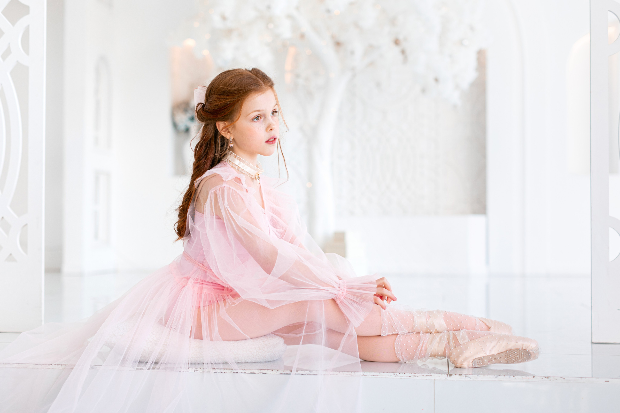 Балетная съёмка в интерьере. Балетный фотограф Алина Ханько — Душа Балета