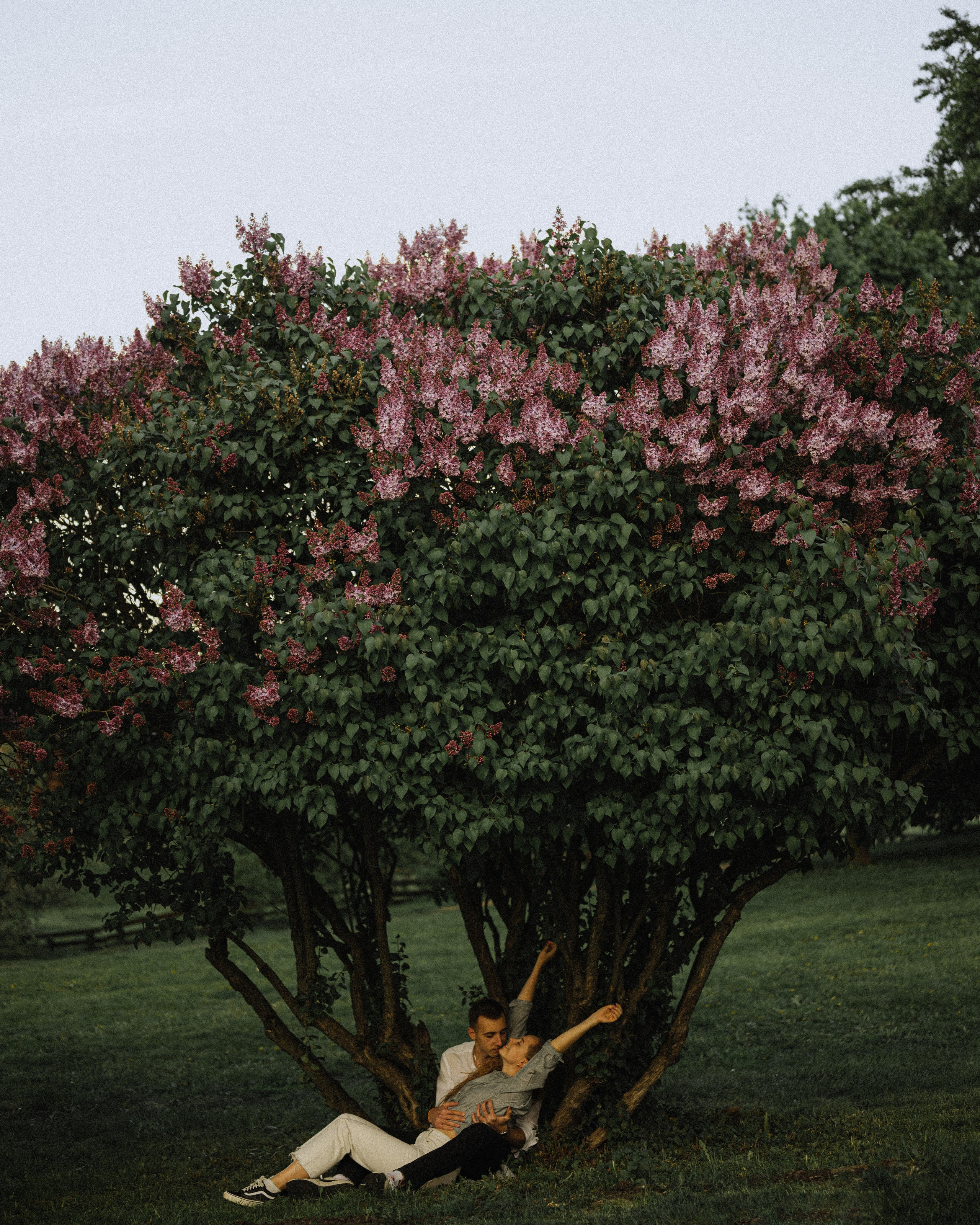 Даша и Миша