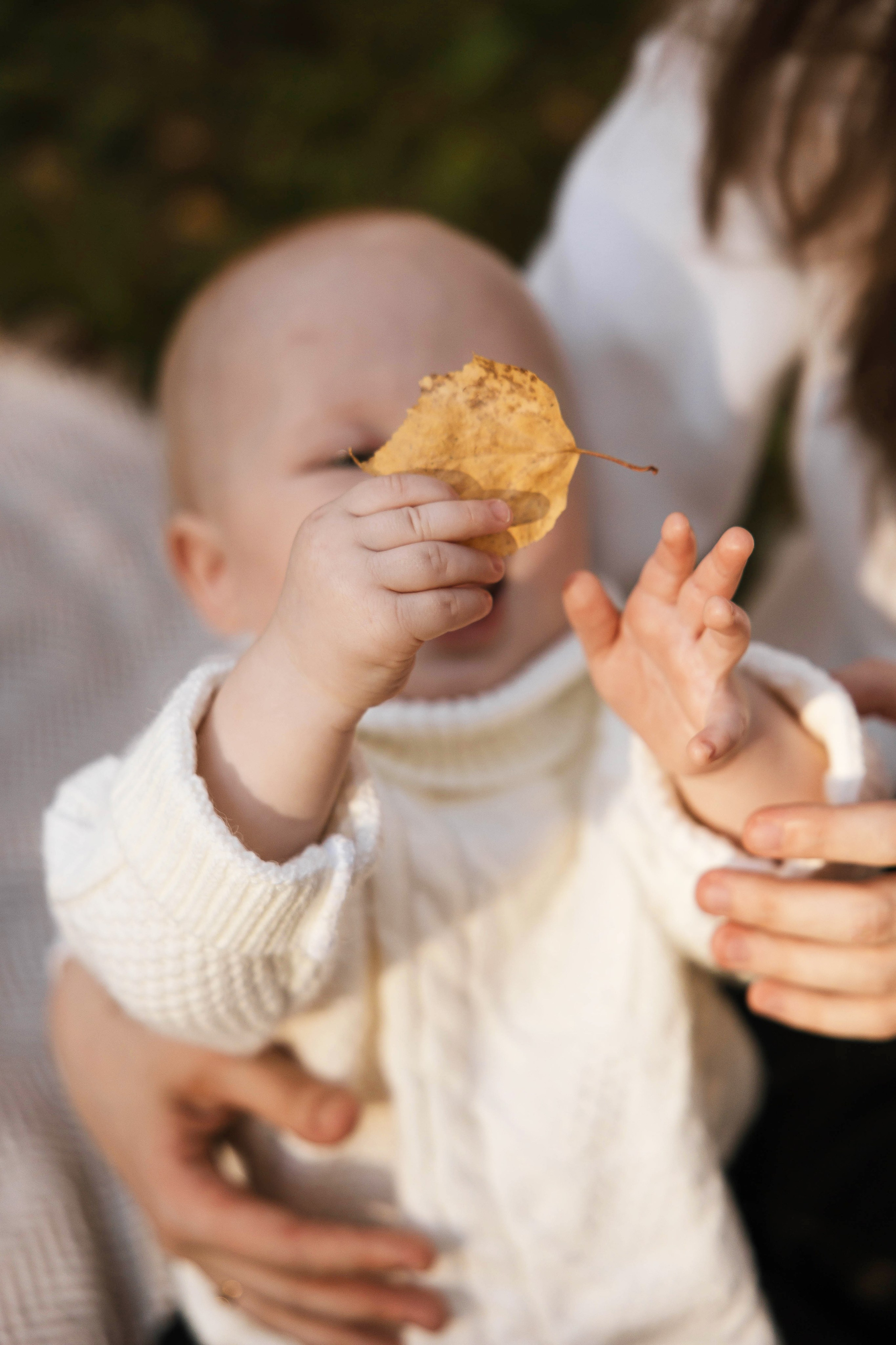 Богдан. Главная