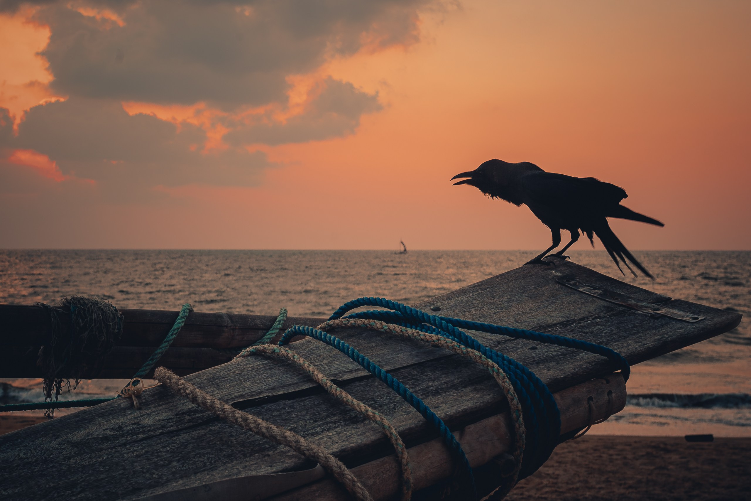 ДО/ПОСЛЕ. Фотошкола он-лайн. Бесплатные уроки Lightroom, Photoshop, Capture One. Пресеты, плагины, экшены