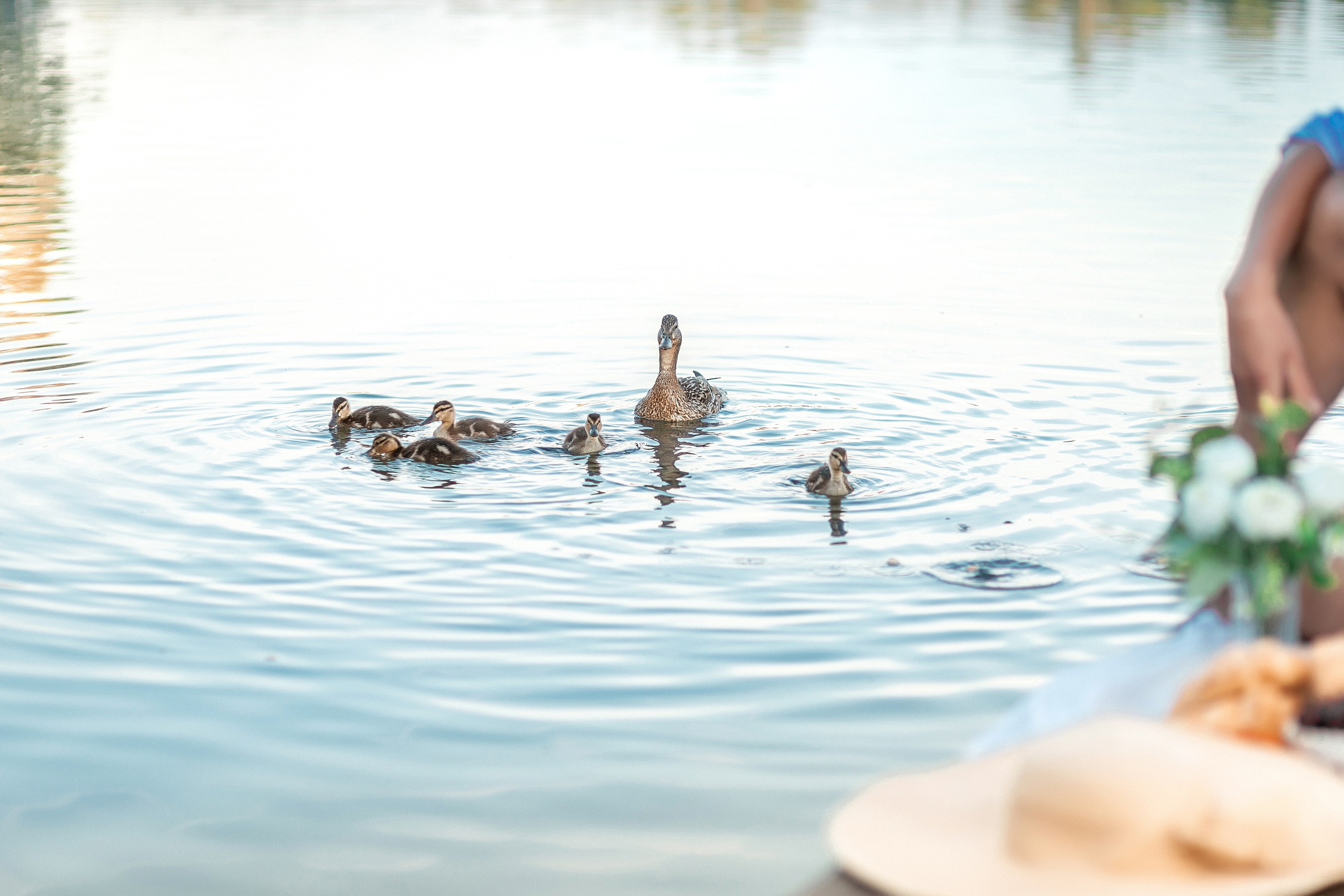 Рассвет на причале. Детский и семейный фотограф в Красноярске Юлия Бирюкова