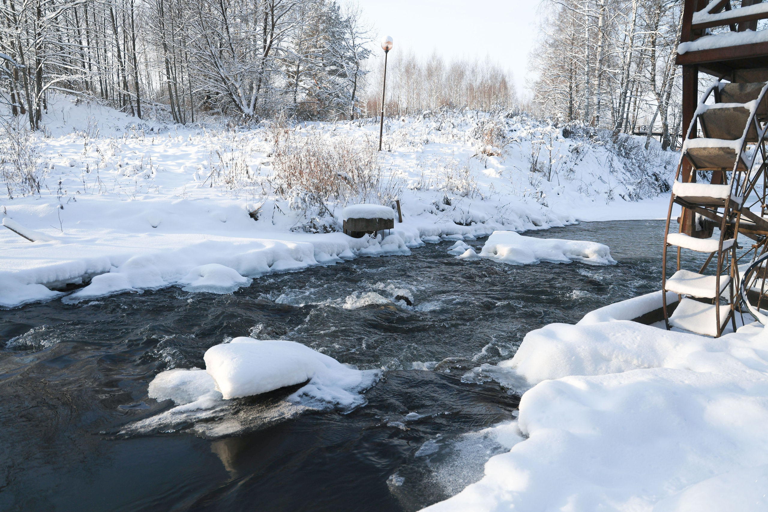 Рождествено Зима 2026. Фотограф Максим Татаринов