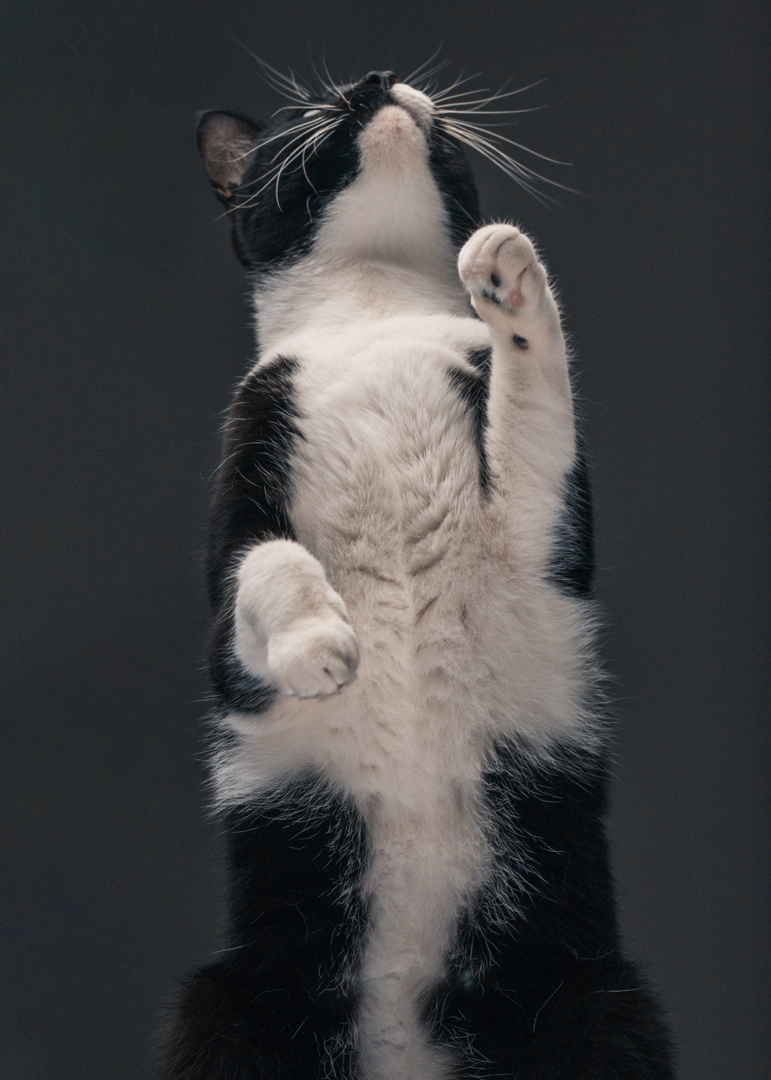 Студия. Главная