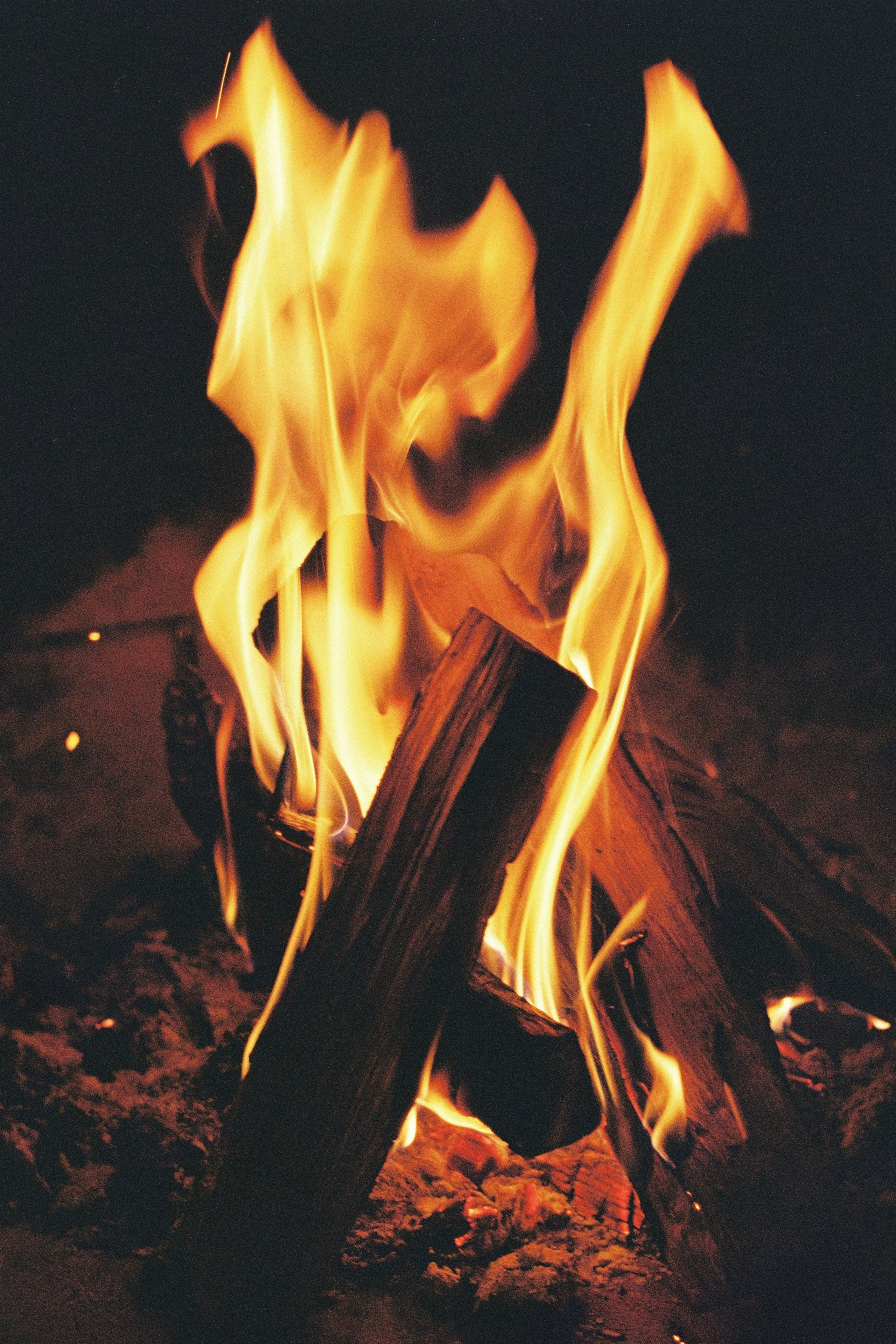 Grain. Artem Khusainov