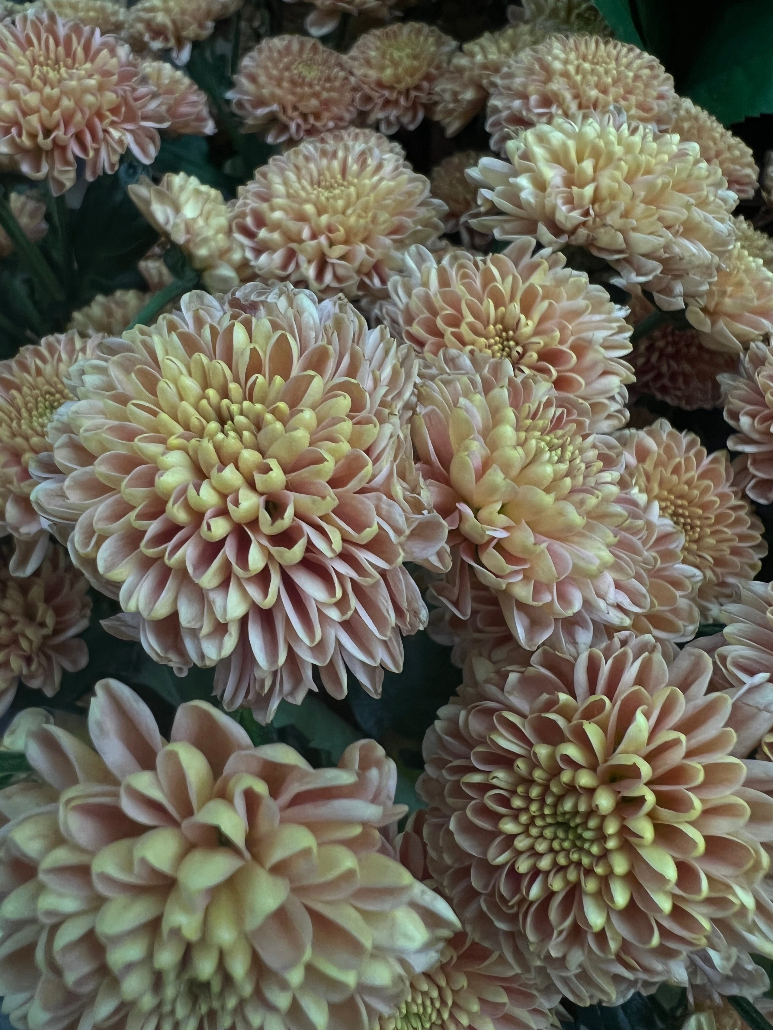 Fragments. Artem Khusainov