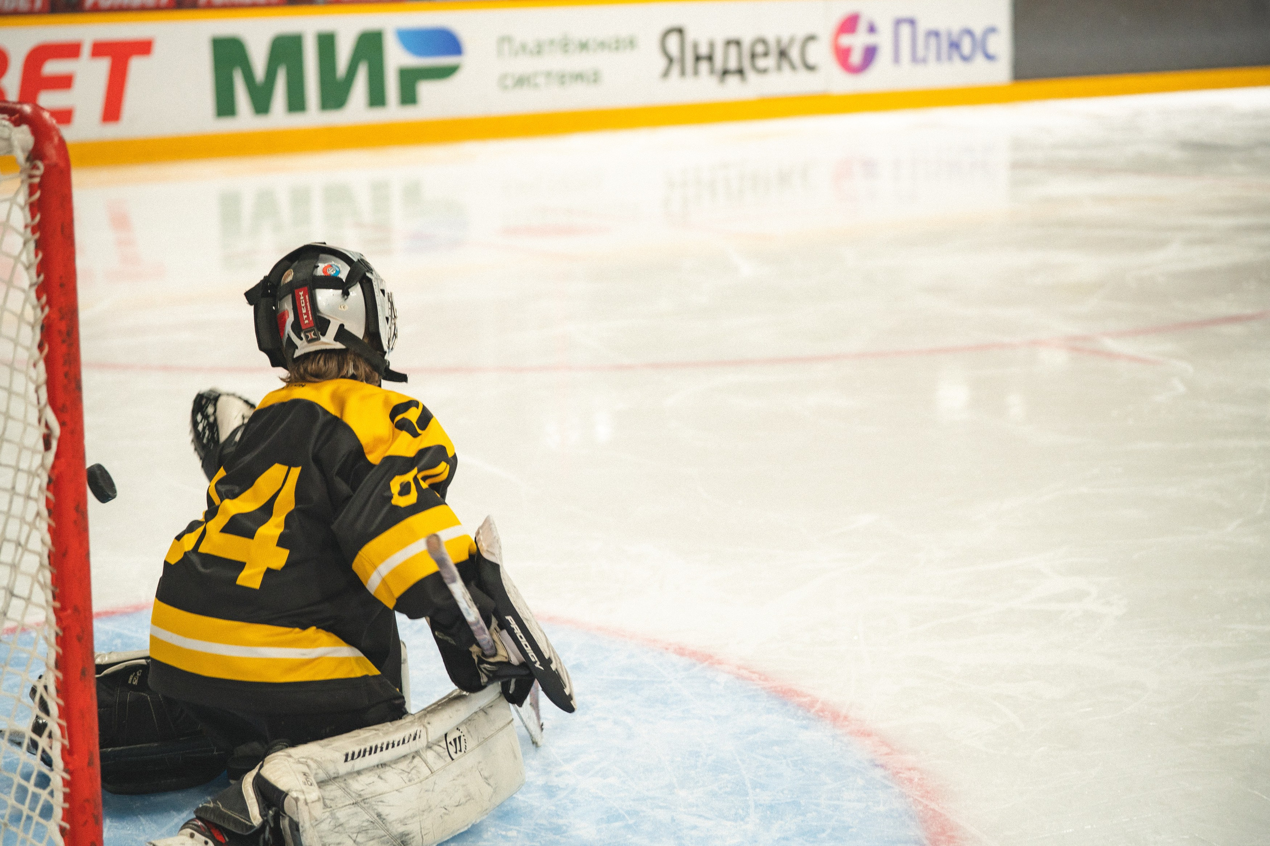 ХК Северсталь (младшая группа). Череповец. Zekons. Фото, видео, нейросети