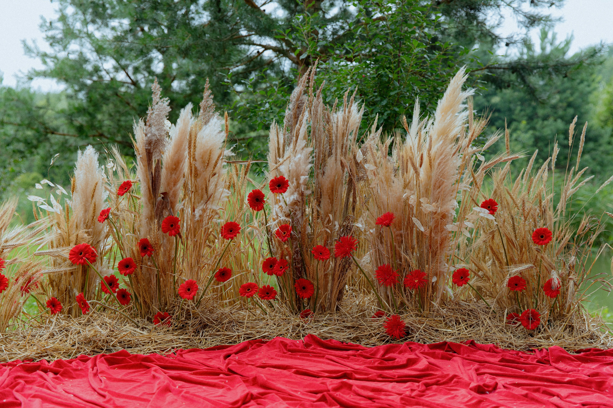 A la Russe. Свадебный и репортажный фотограф