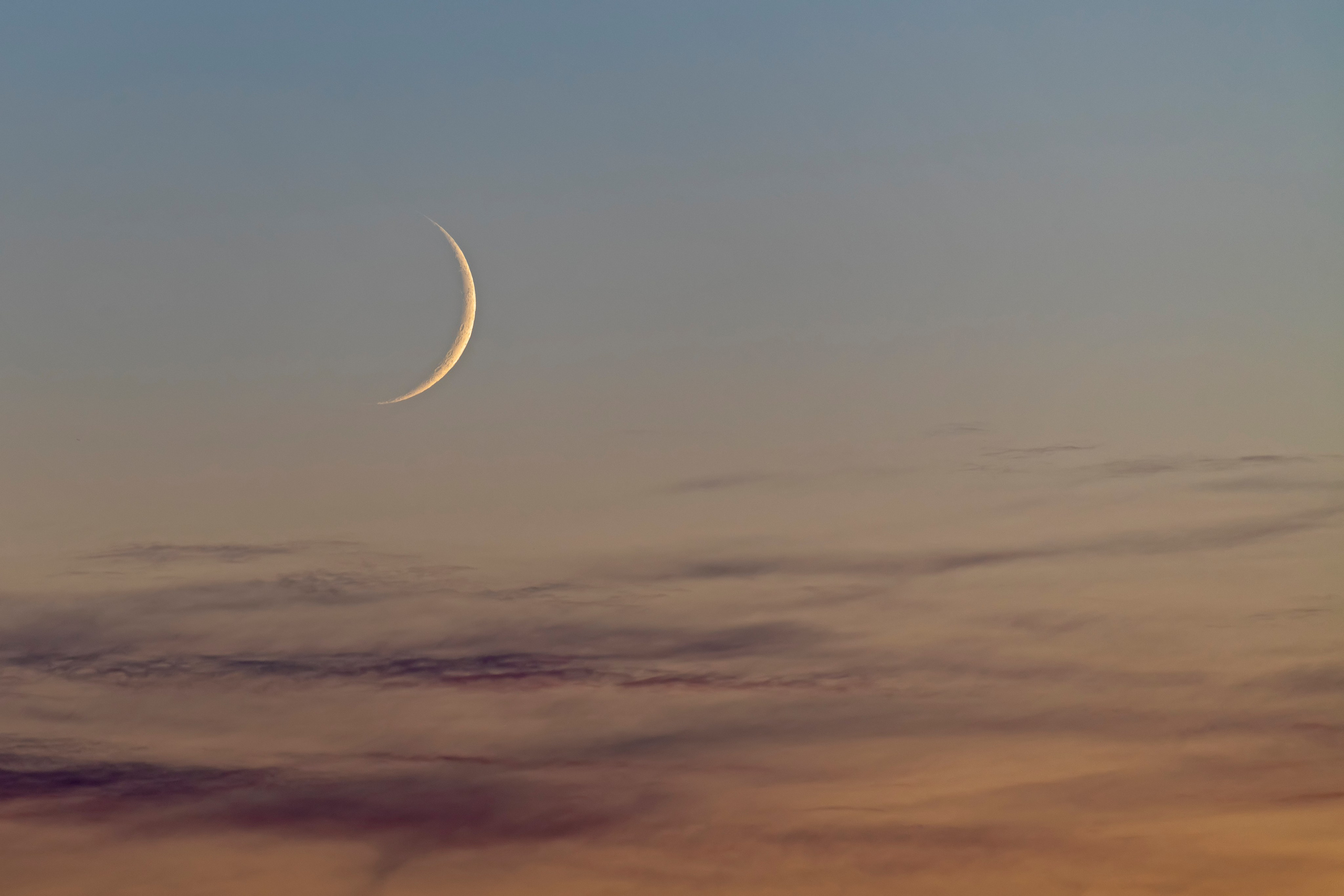 ПРИРОДА. От прошлого к будущему авиации через фотографию