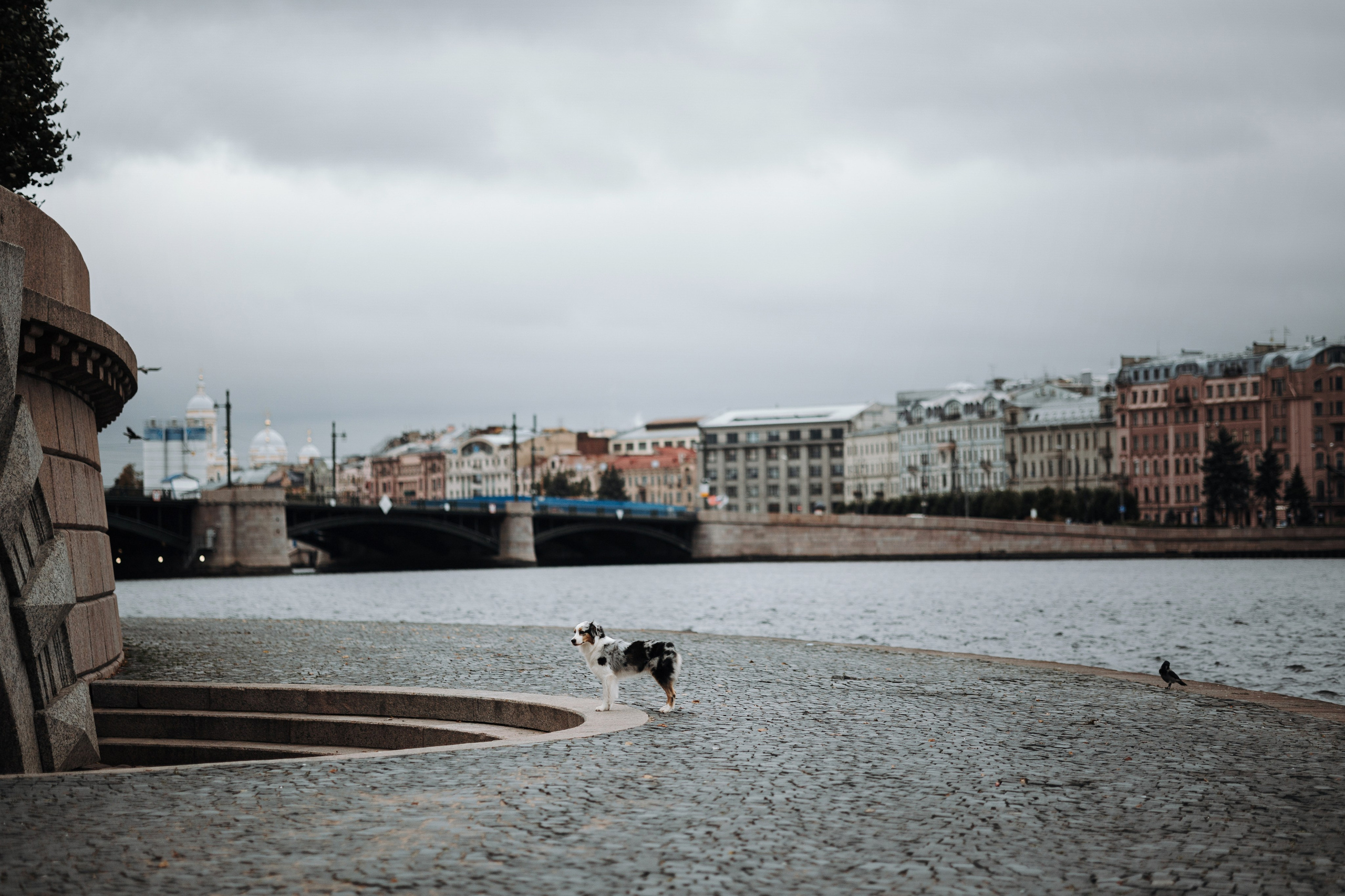 Ирина и Кайса. Фотограф — Анималист | Санкт-Петербург