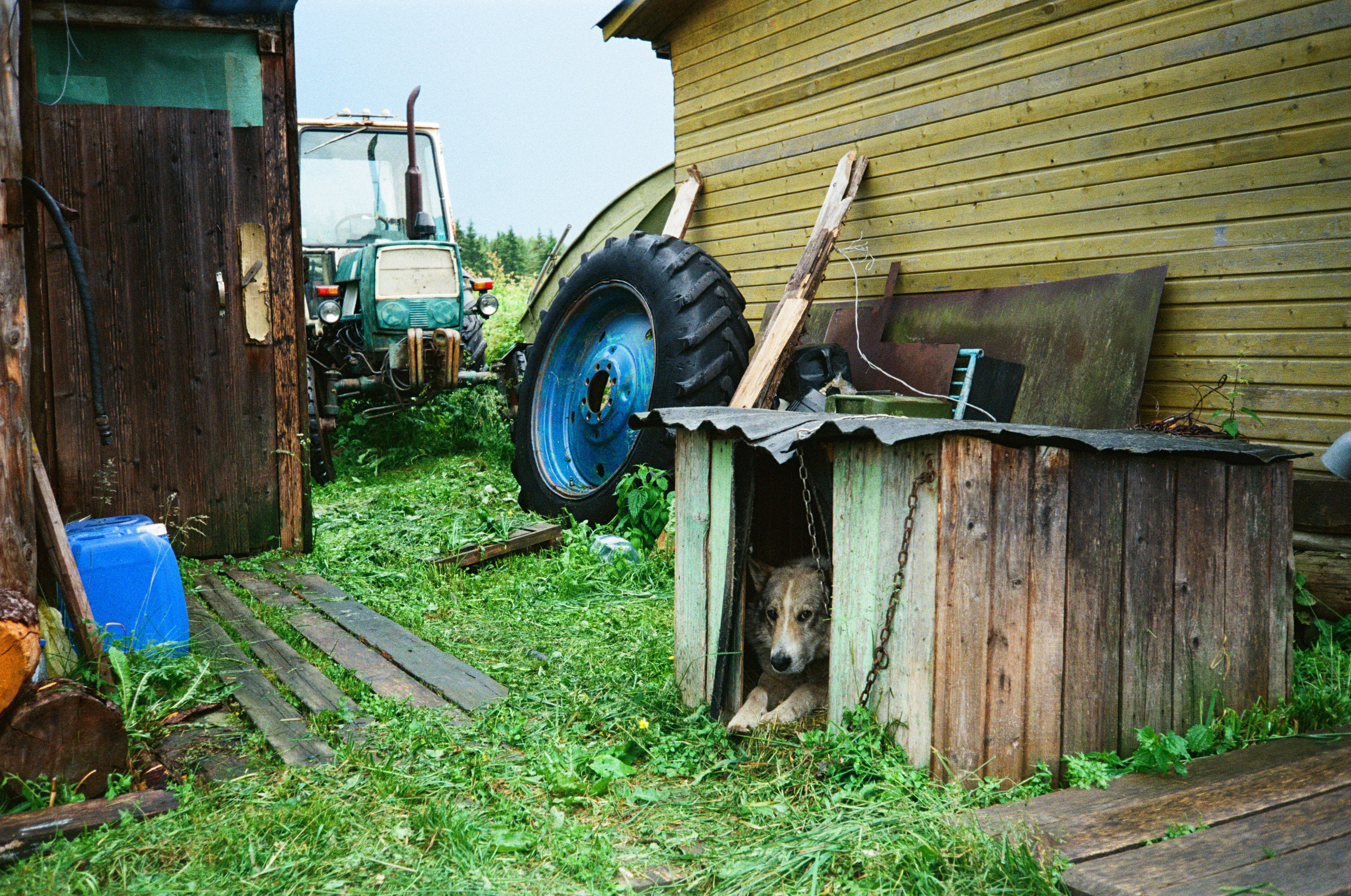 Цвет пленка. Событийный фотограф в Москве Юлия Папиянц