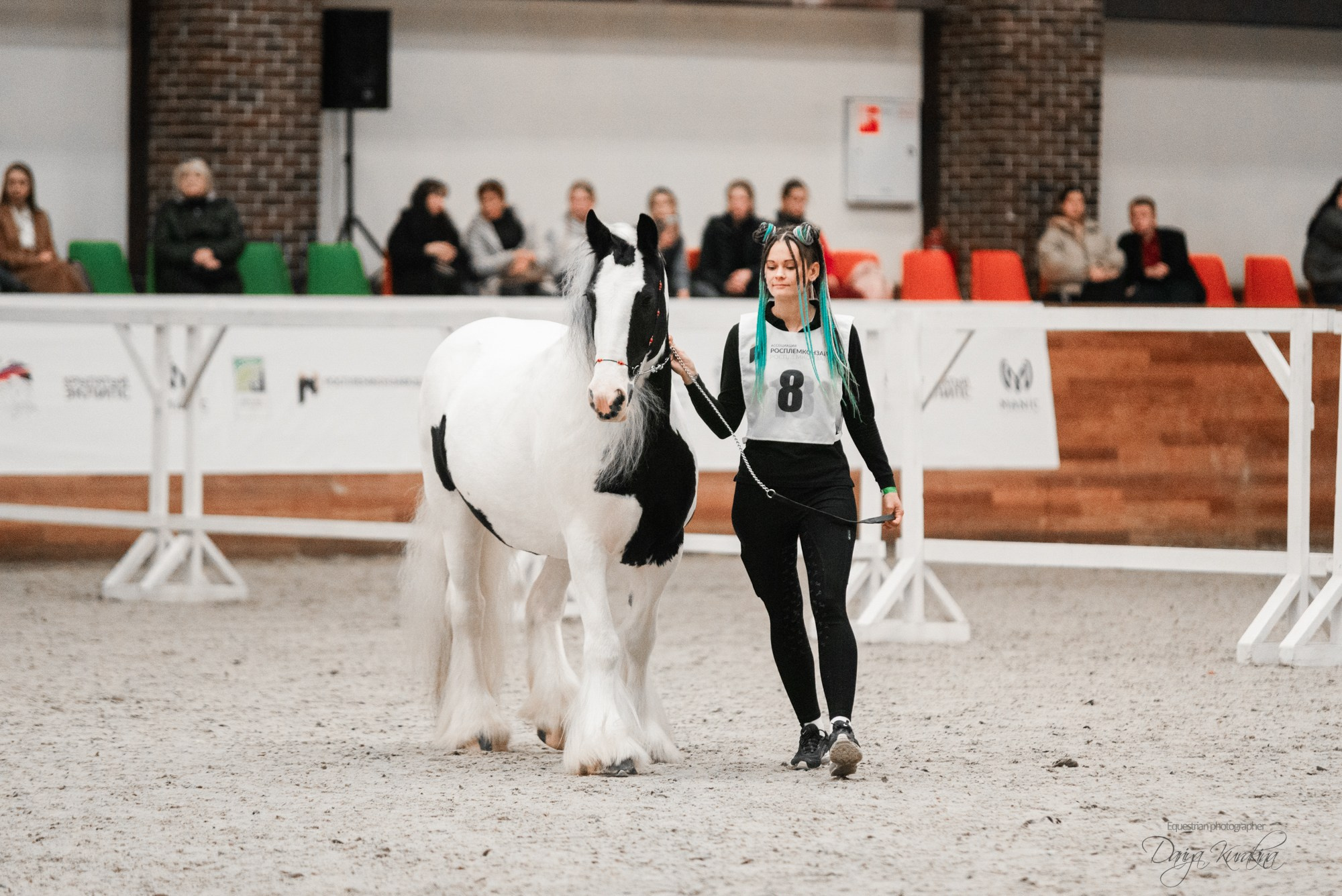 8-я международная выставка Конная Россия. Конный фотограф Куракина Дарья • Фотосессии с лошадьми
