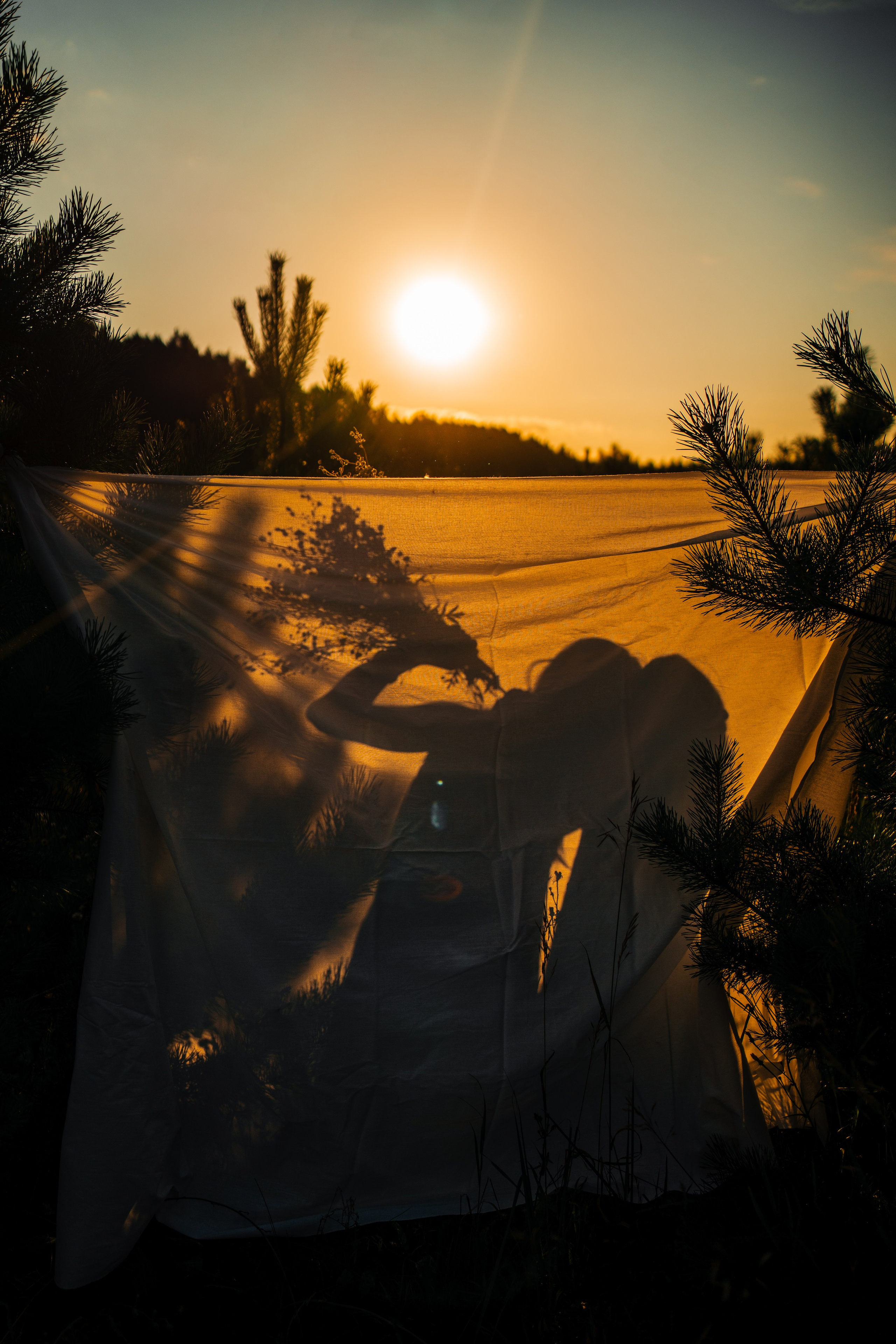 Съемка мечты. Семейный и детский фотограф и видеограф в Москве, Серпухове и Тарусе Валерия Сорокина