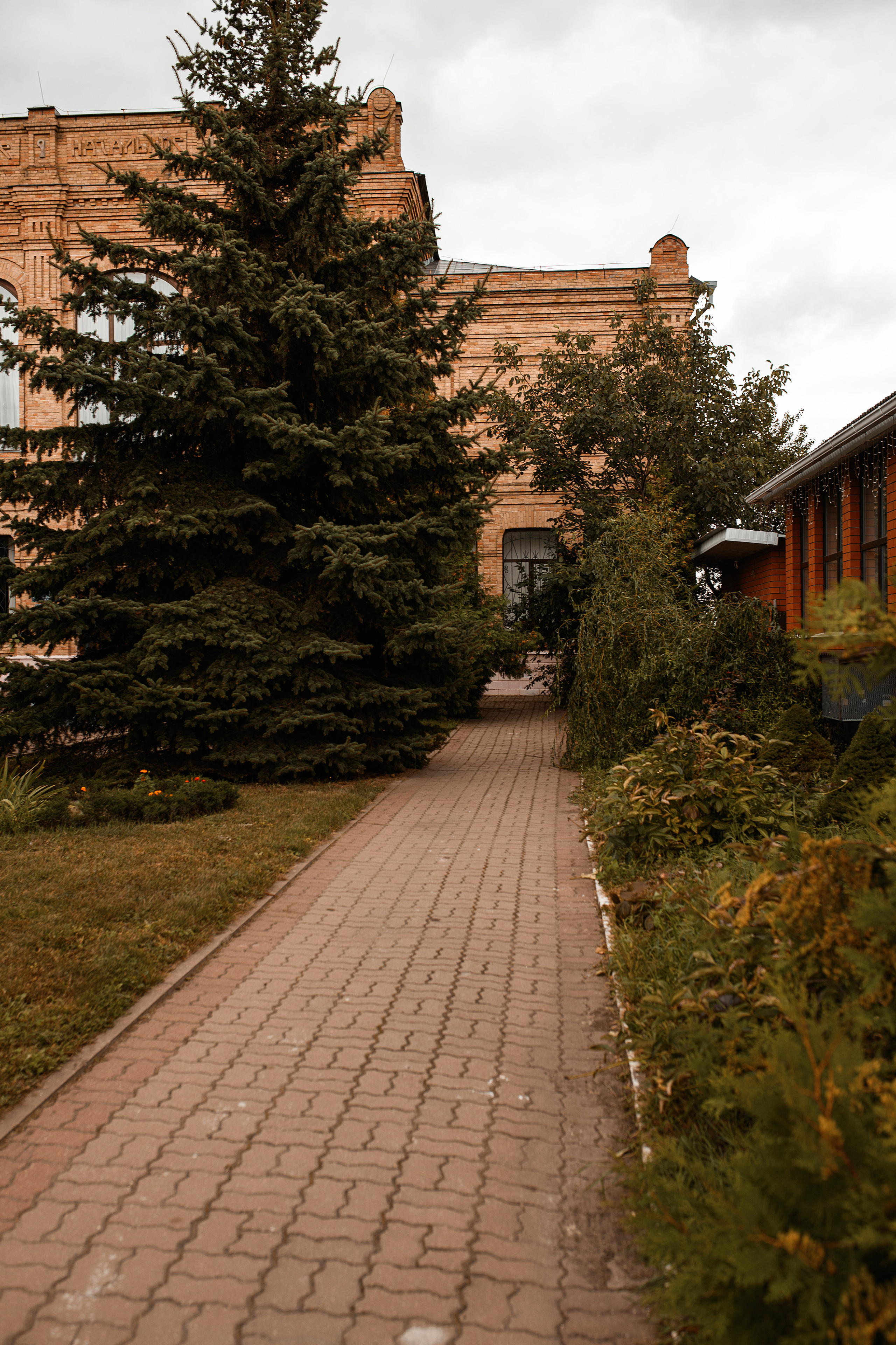 Николай и Эля. Свадебный фотограф Белгород Валуйки Старый Оскол Воронеж