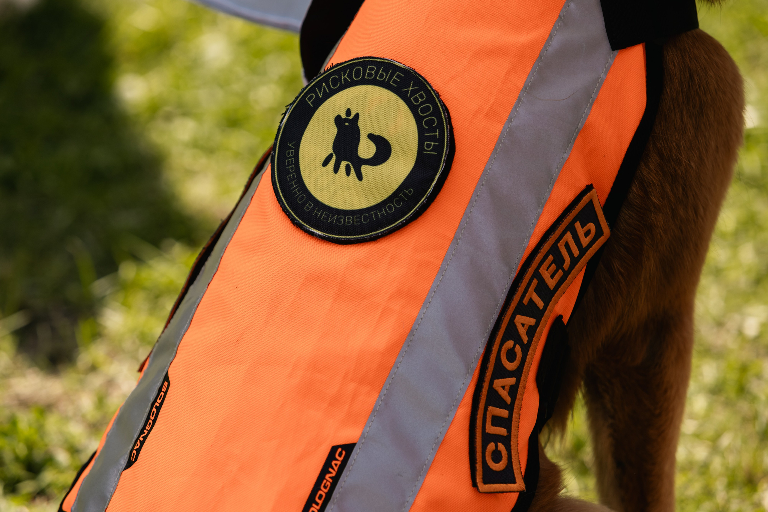 VI ОТКРЫТЫЕ КИНОЛОГИЧЕСКИЕ СОРЕВНОВАНИЯ. ЧЕЛЯБИНСКАЯ ОБЛАСТЬ 2025. Репортажный фотограф Наталья Лапцевич