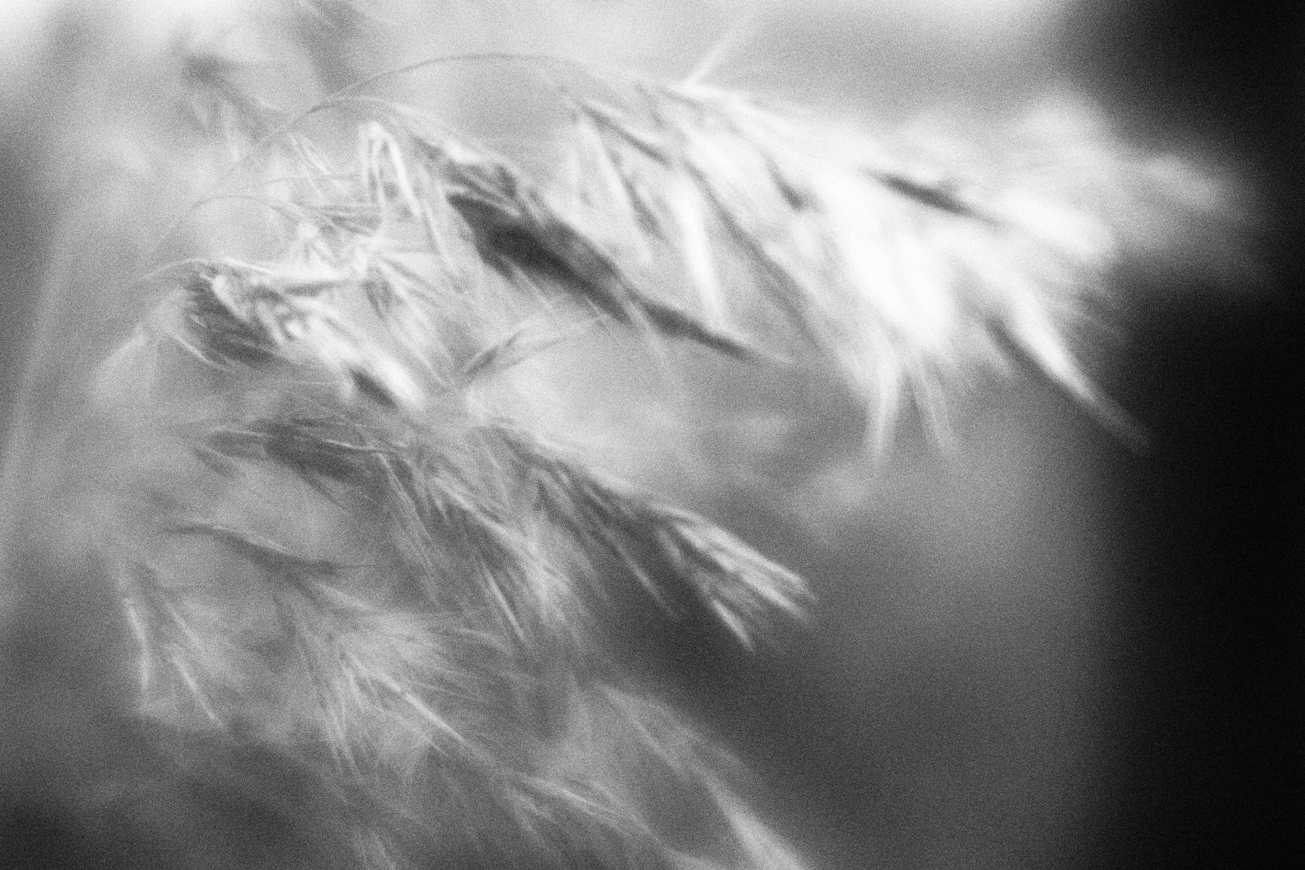 Внутривенные сны (2023)