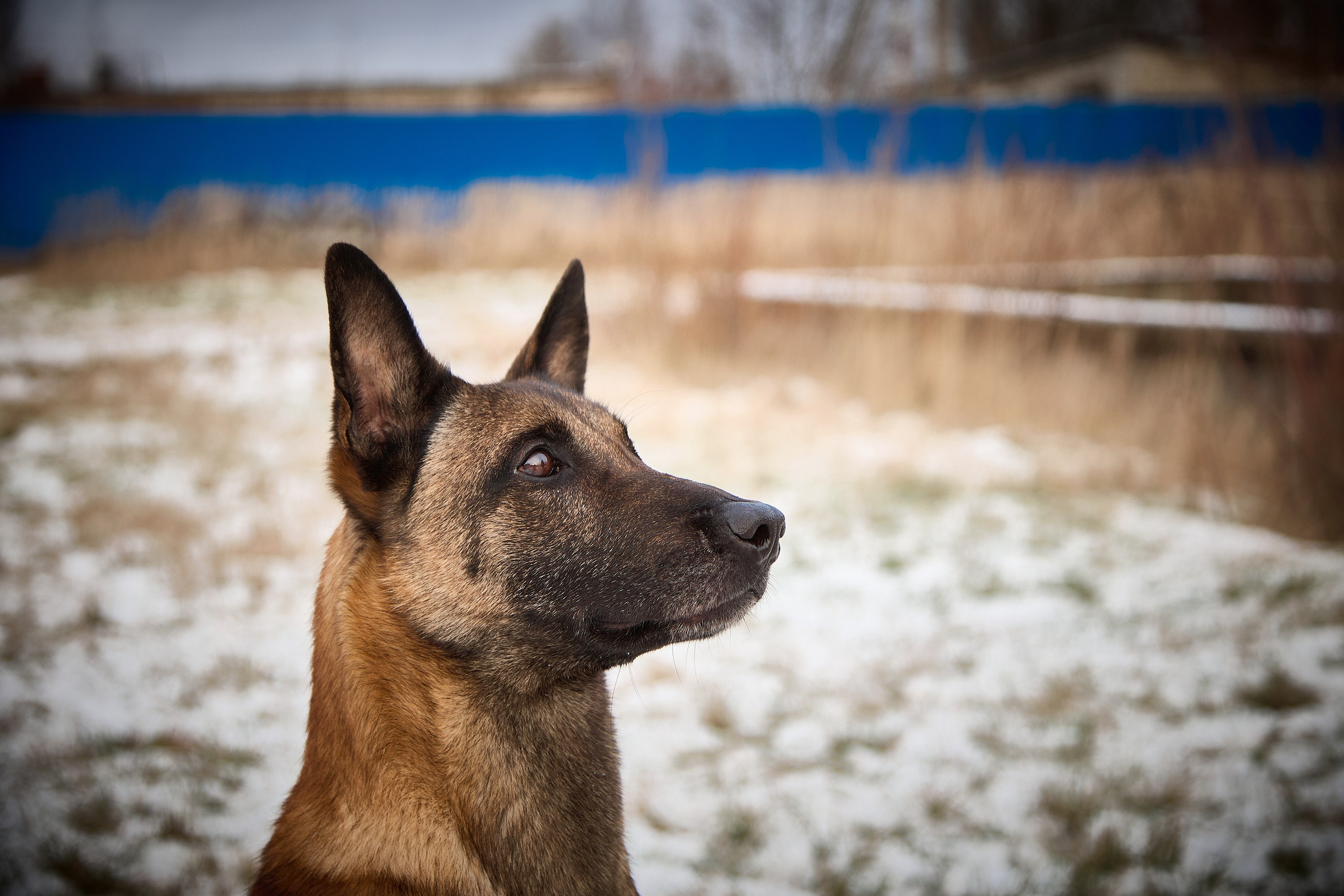 Юниор Профи 2025. Портретный фотограф Евгений Денисов