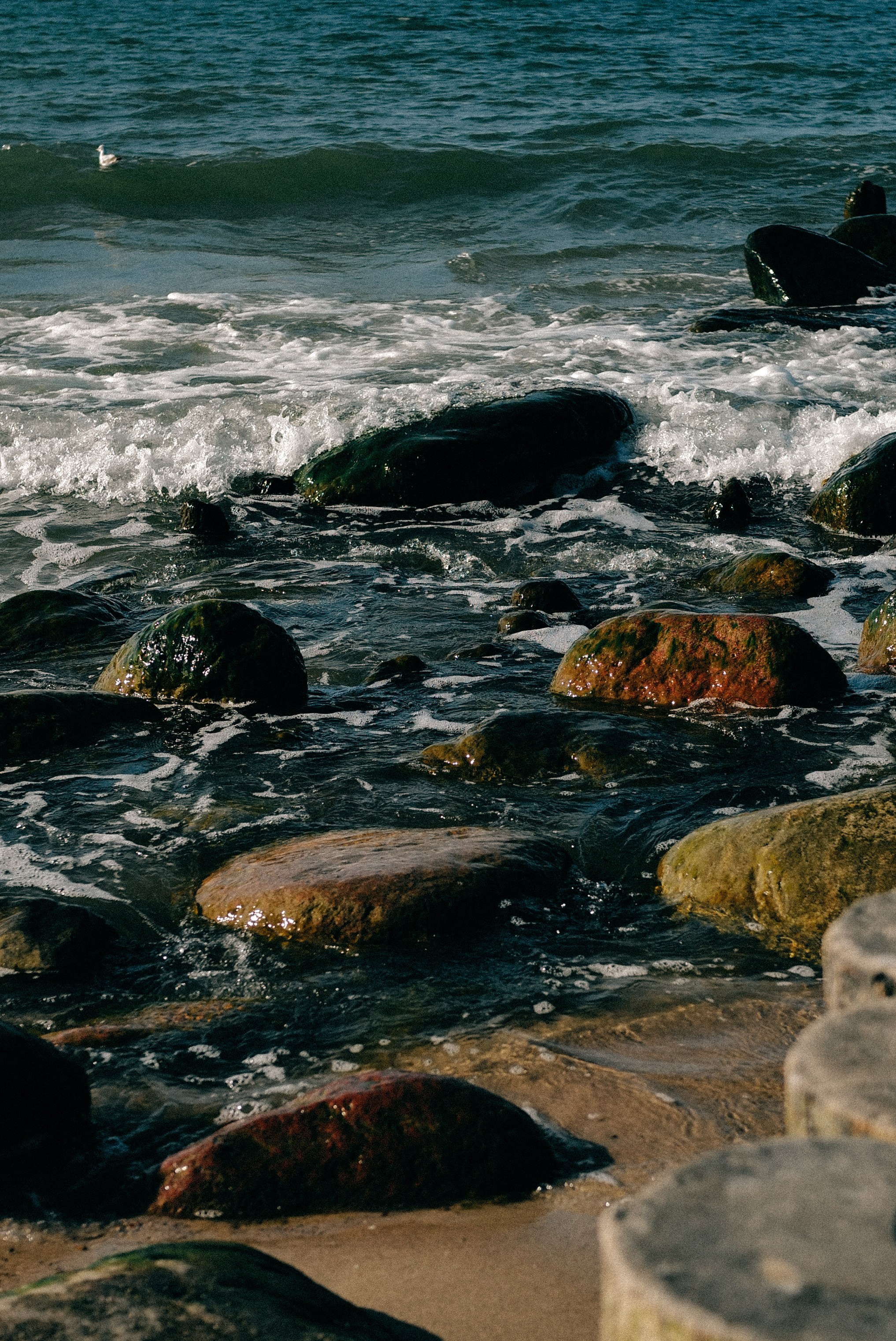 Zelenogradsk. Фотограф София Комкина