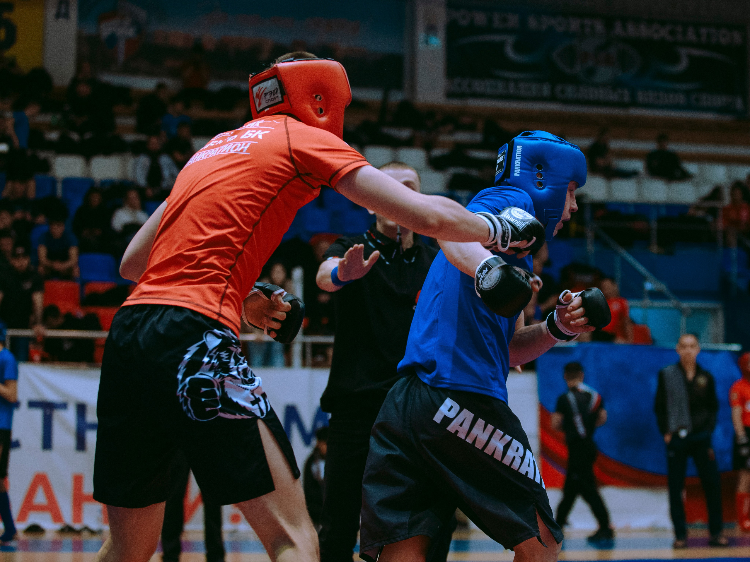 ПАНКРАТИОН | Чемпионат и первенство СФО | март `24. Портретный фотограф в Москве Дарья Цезария