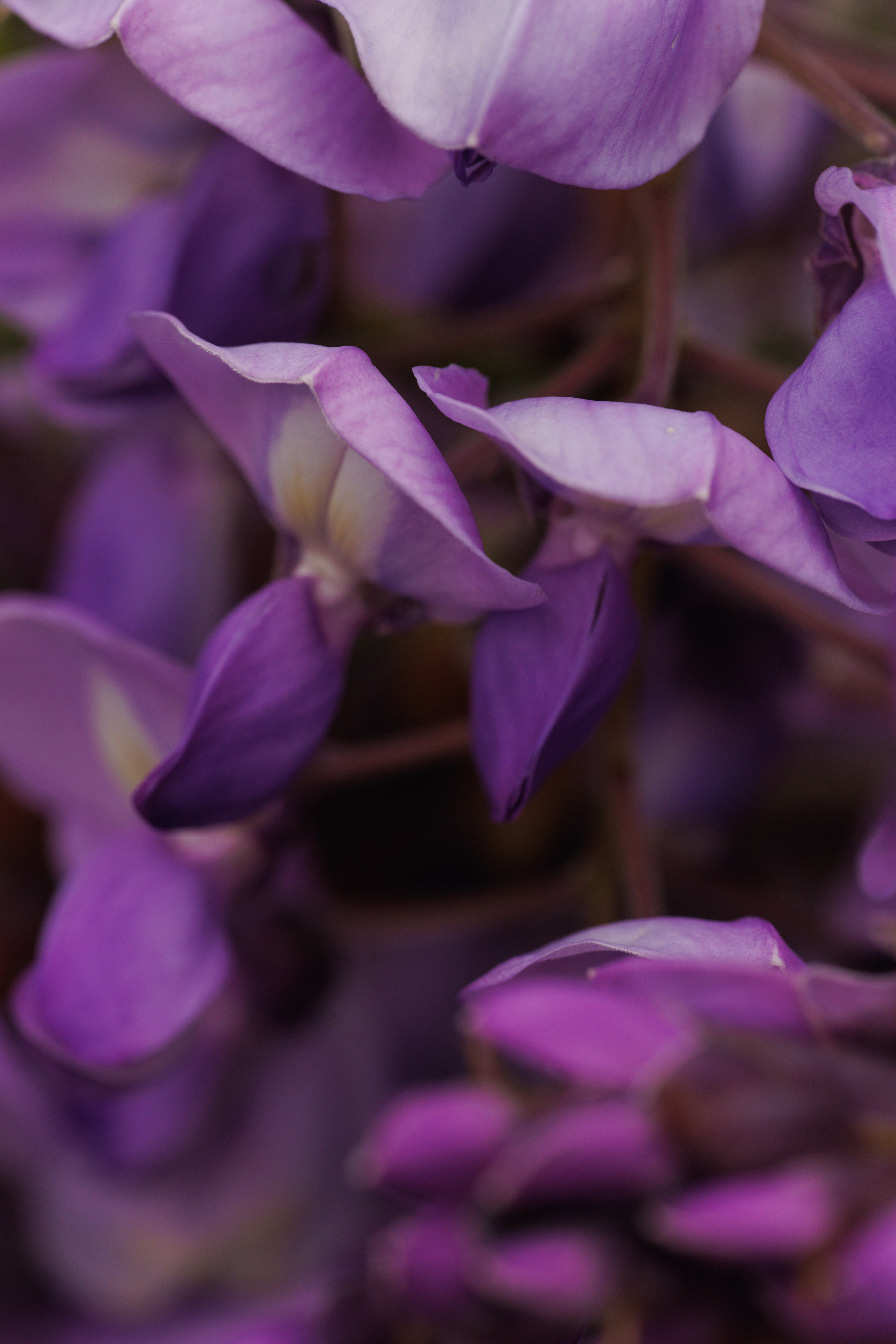 Macro. Фотограф на Юге России