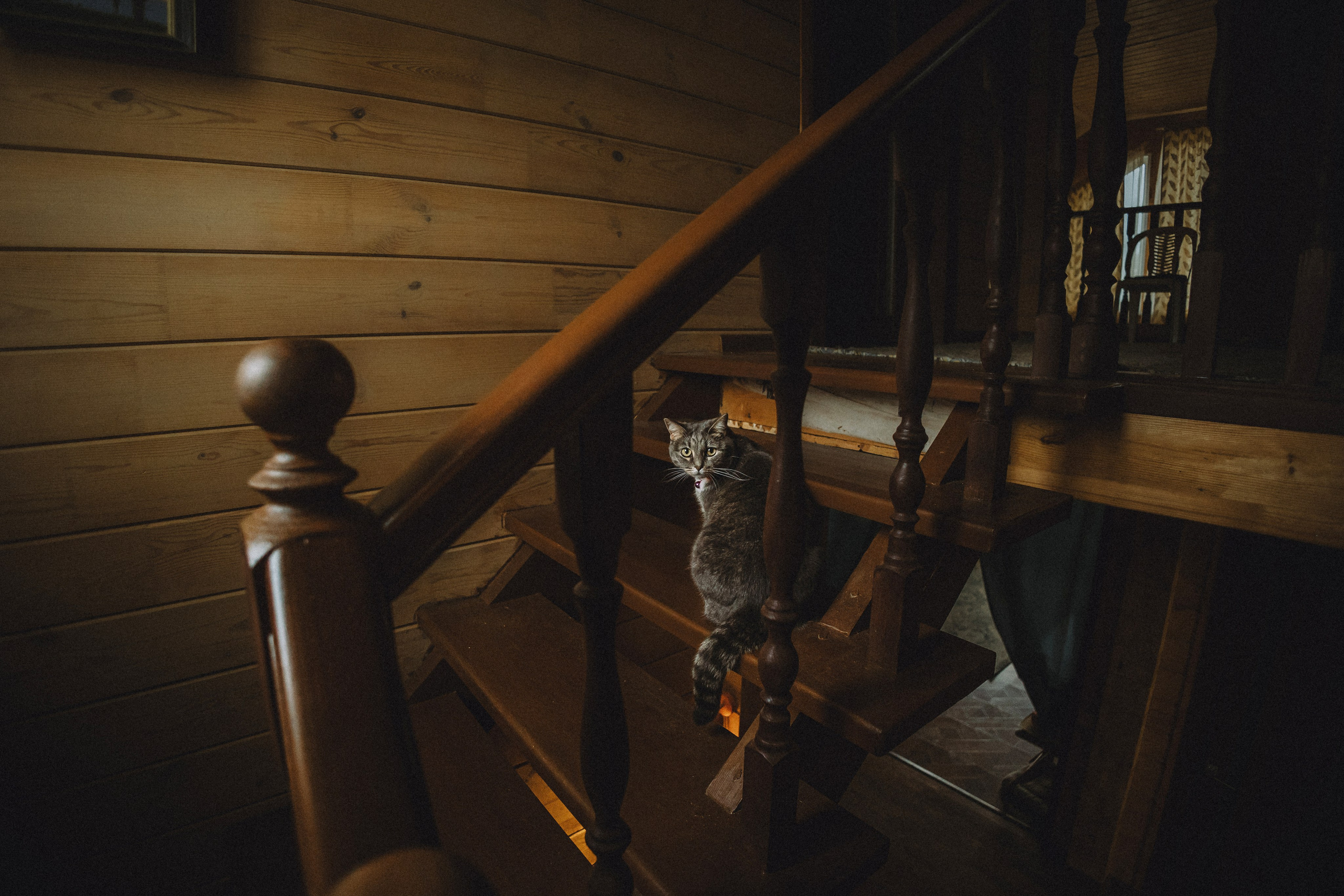 Леброн, Муся и их семья