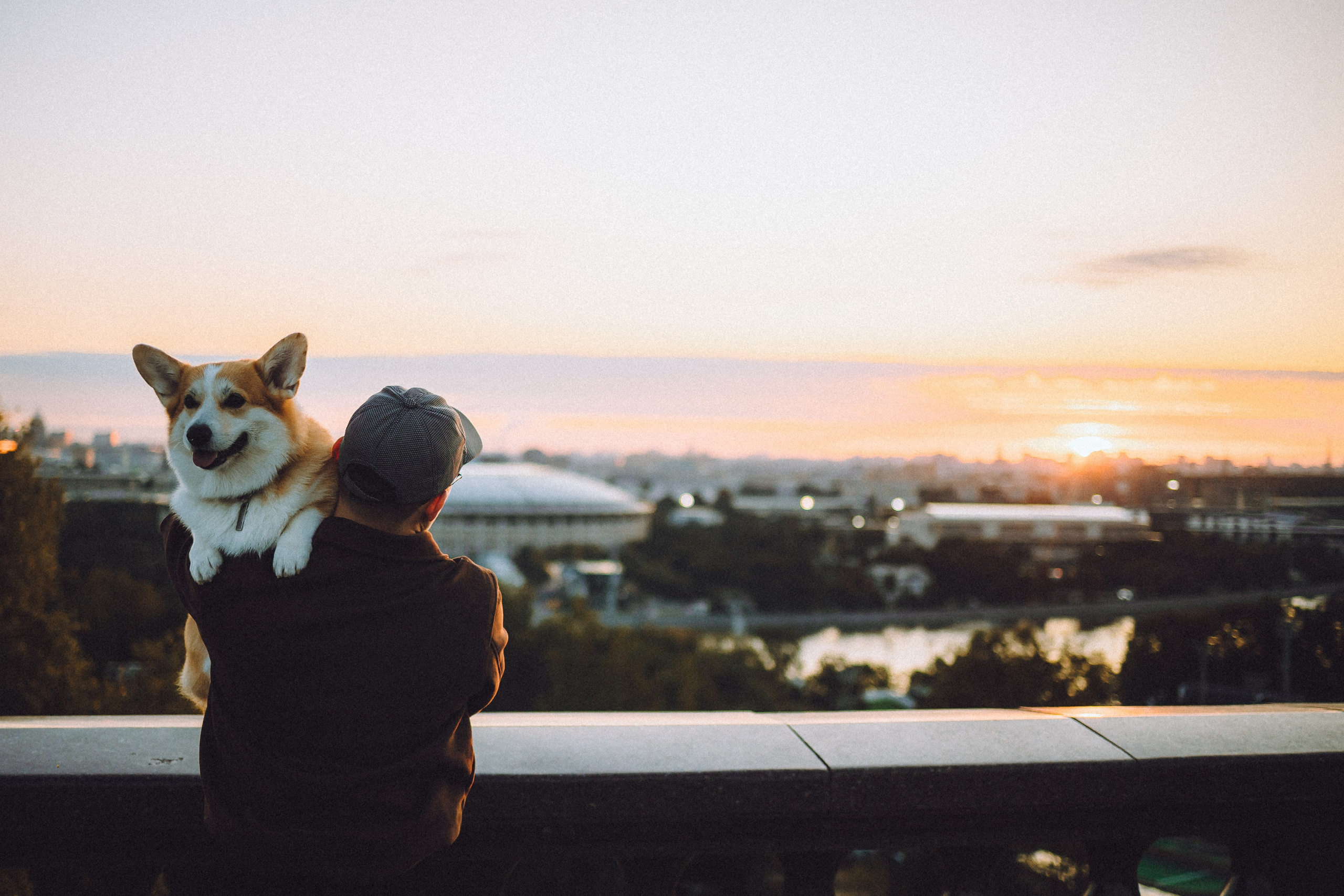 Пуговка и ее семья