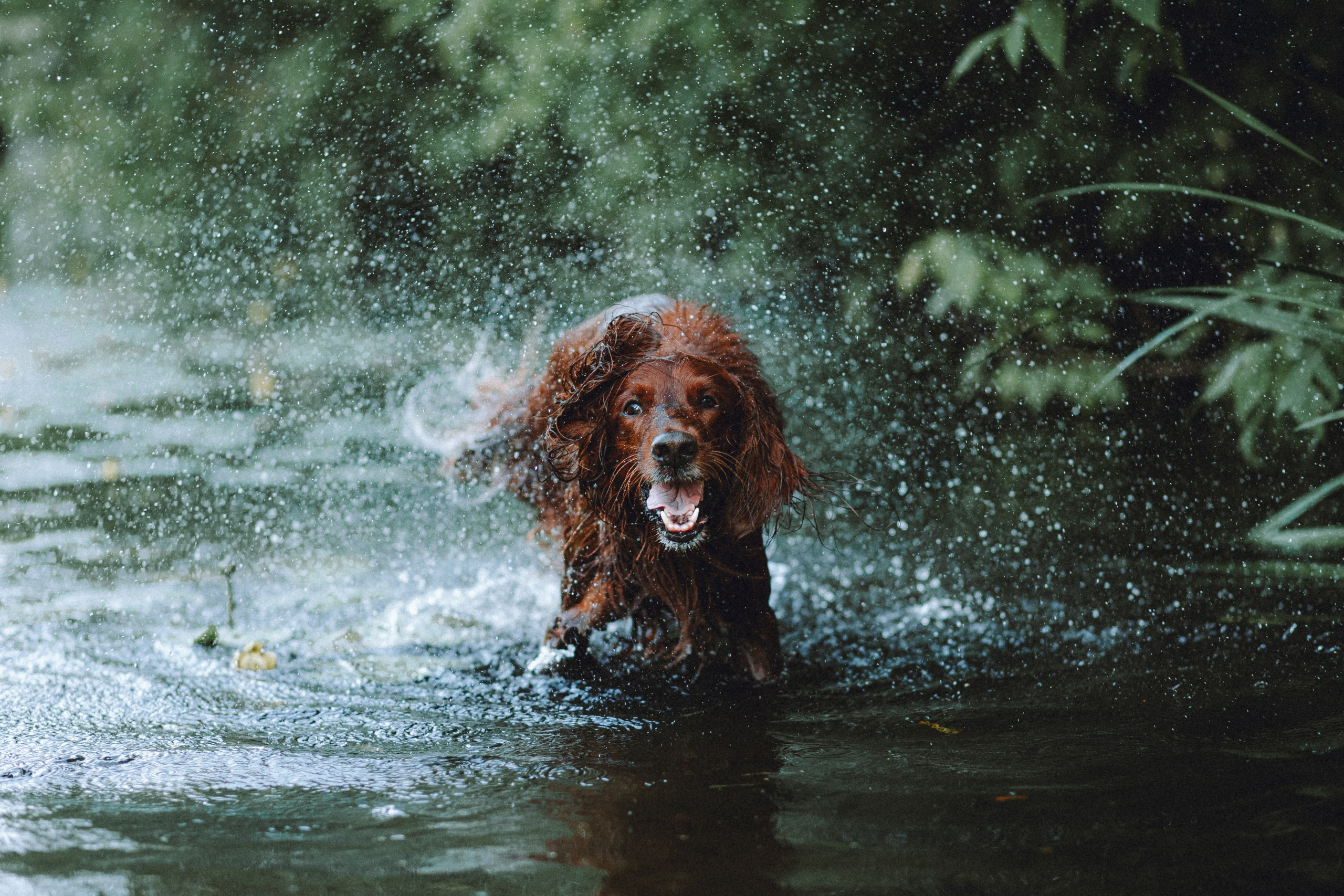 Маша и Джерри