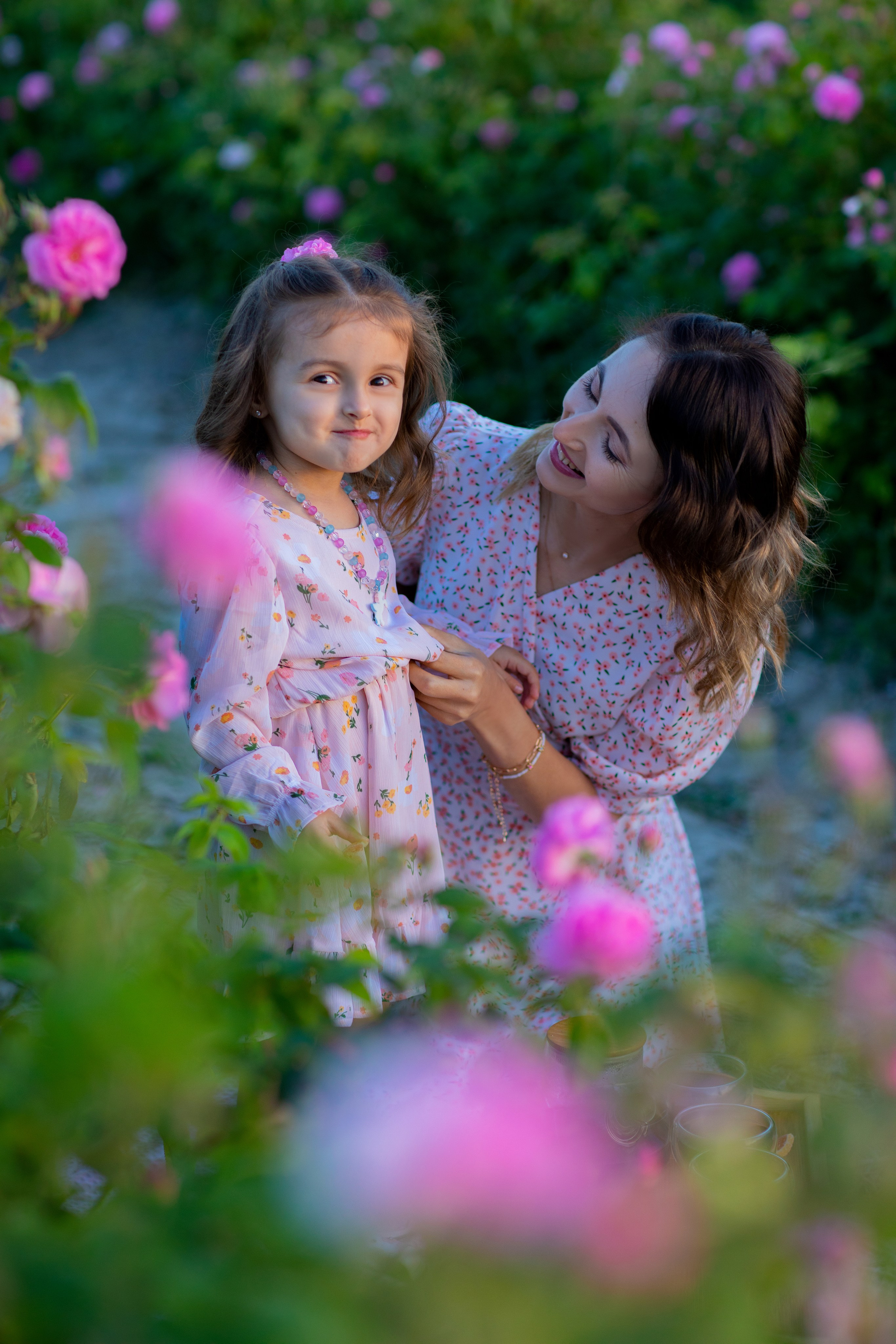 Чайная роза. Фотограф Севастополь/Крым Светлана Евтушенко