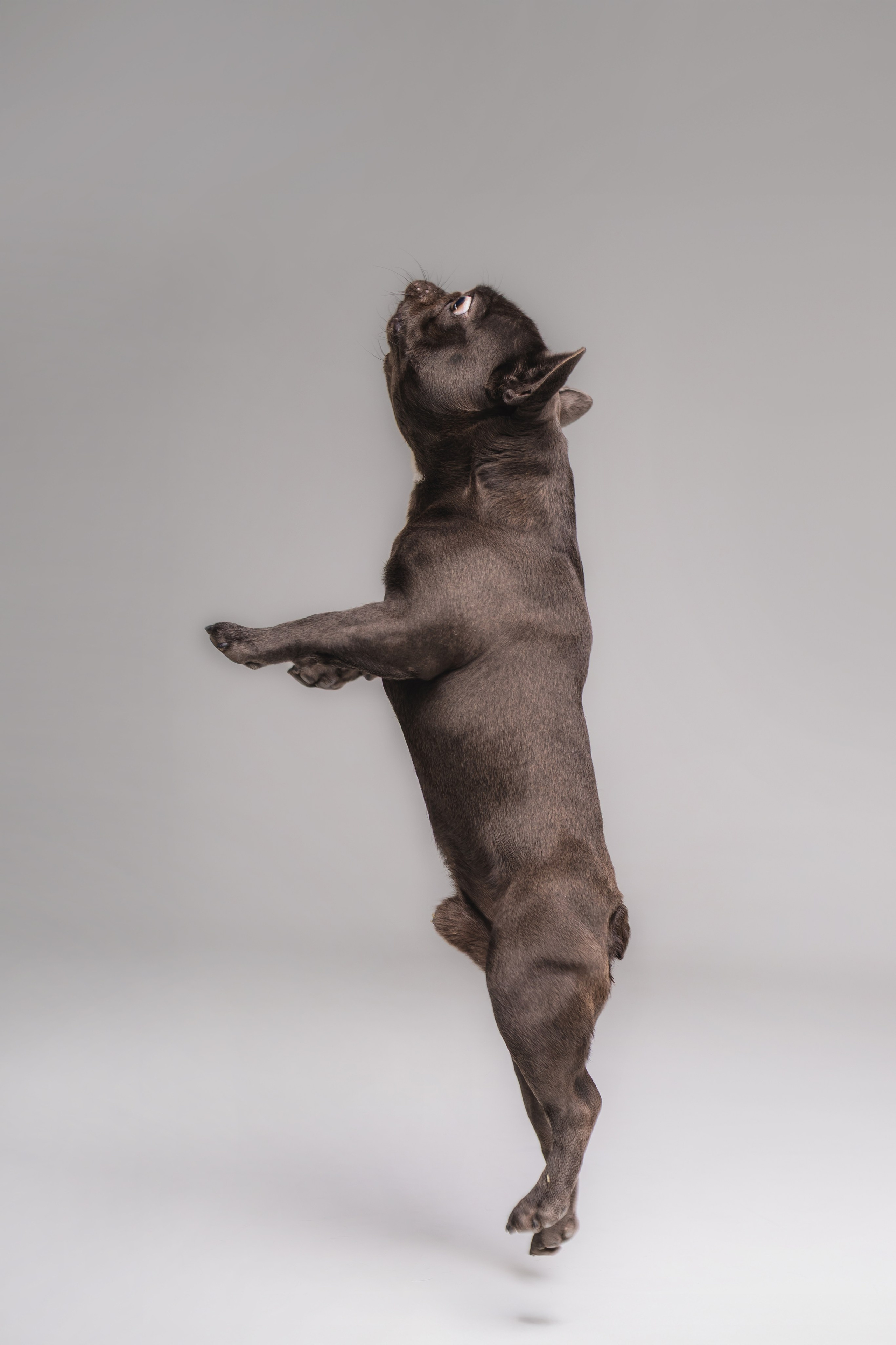 Кристина и Счастье