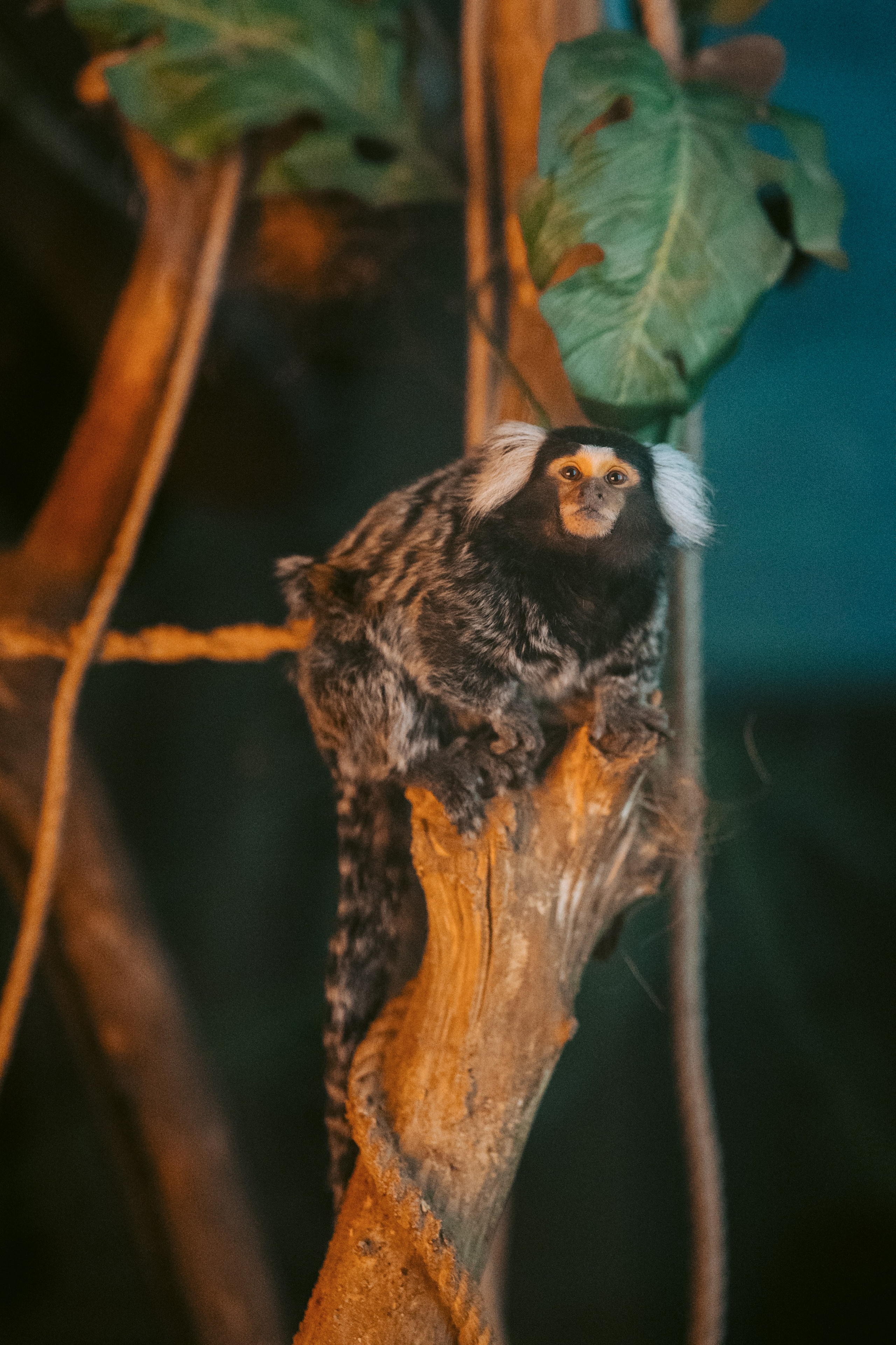 Ночь искусств 2023. Фотограф на любое событие в Кемерово